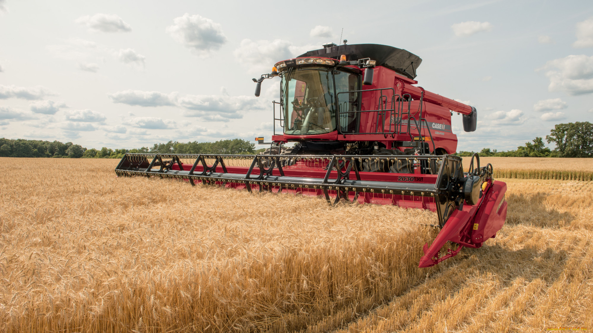 техника, комбайны, case