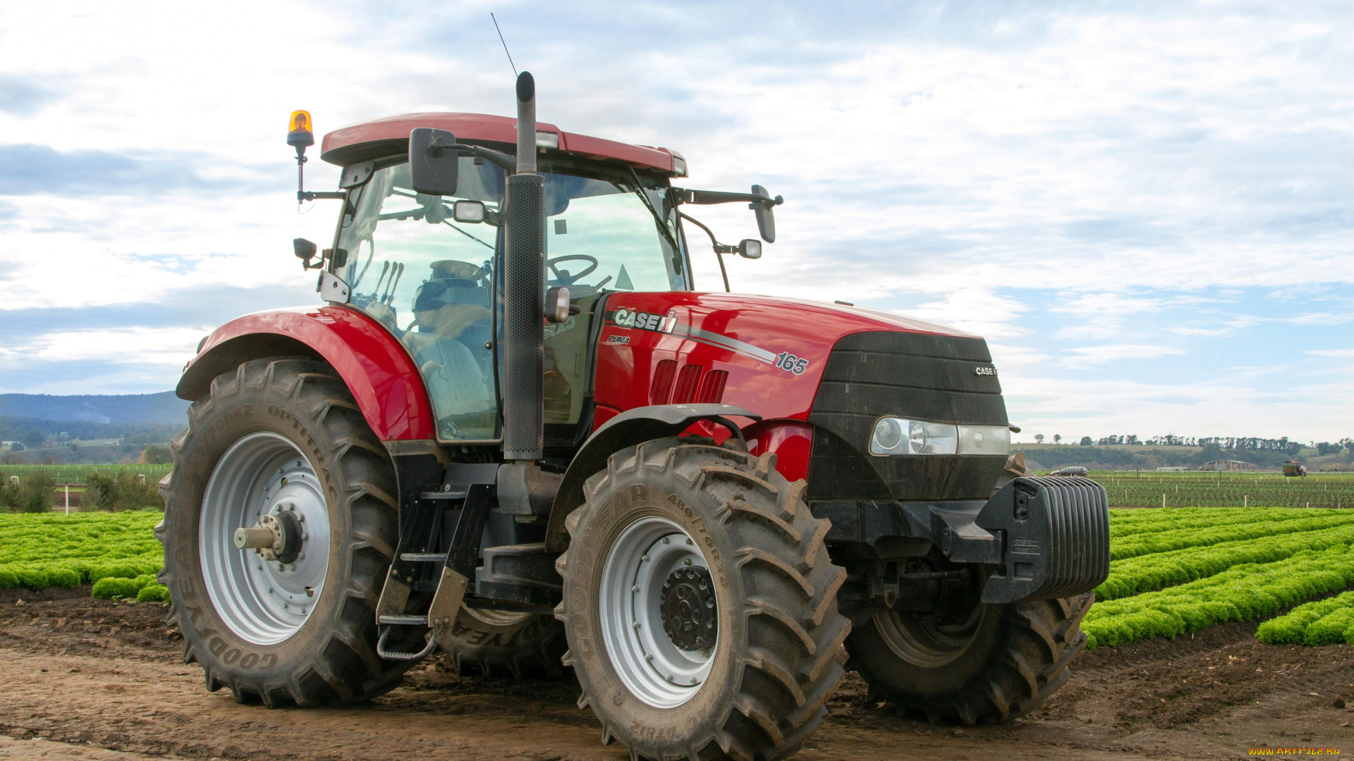 техника, тракторы, case