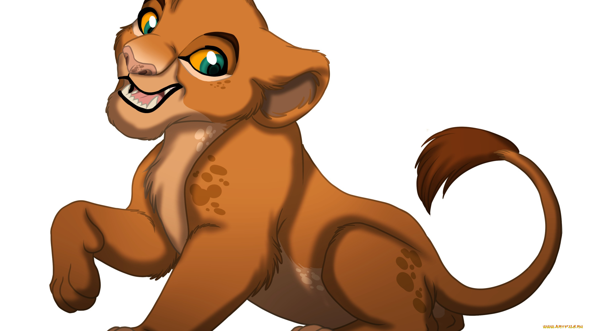 векторная, графика, мультфильмы, , cartoons, фон, лев