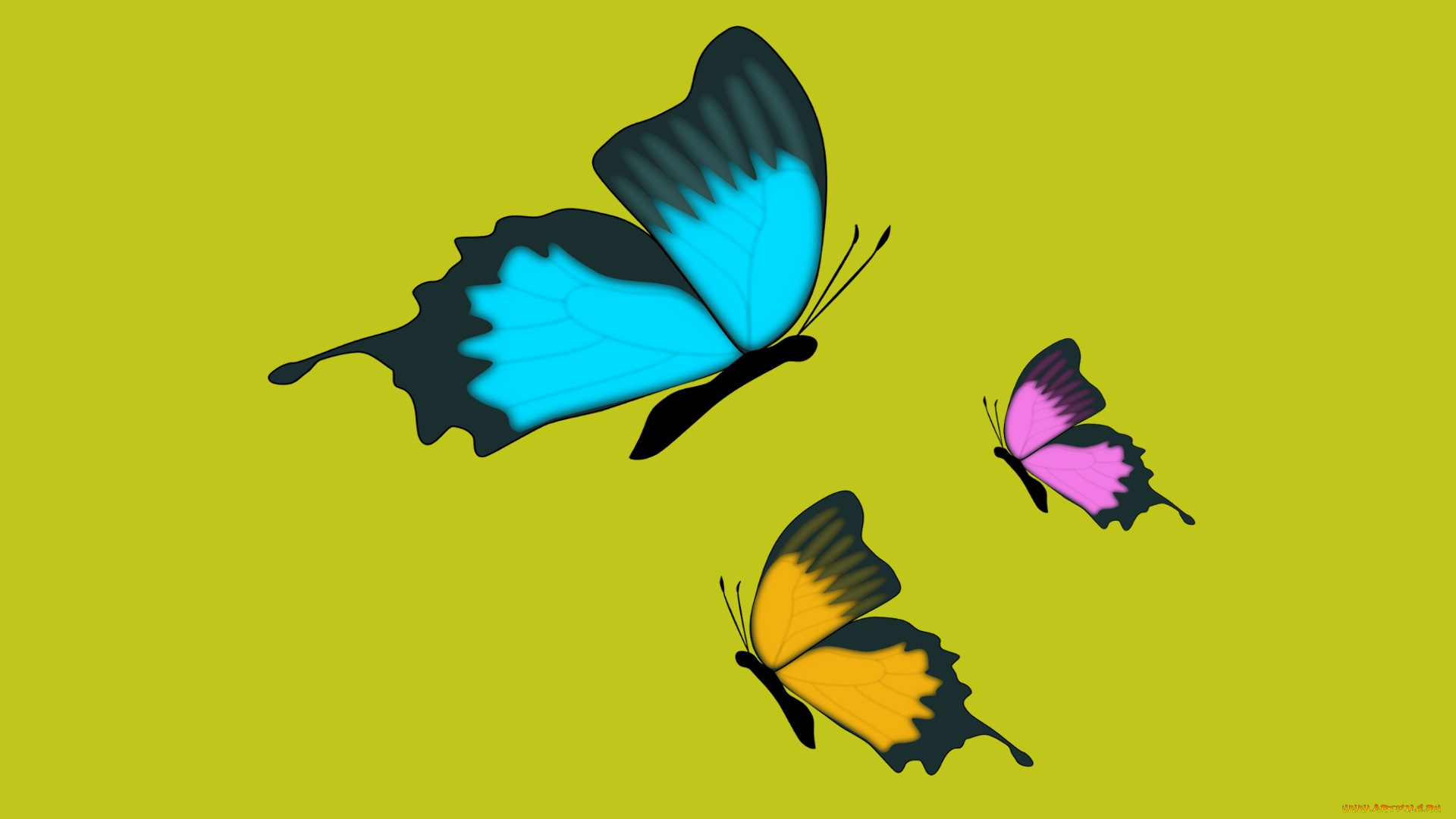 векторная, графика, животные, , animals, фон, бабочки