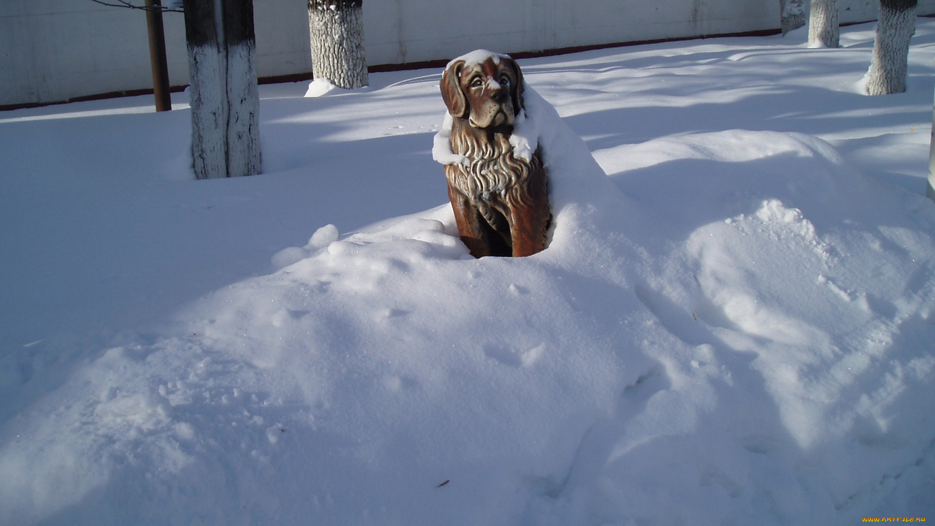 зимой, города, -, другое, город, памятник, зима, арт-объекты, собаки, животные