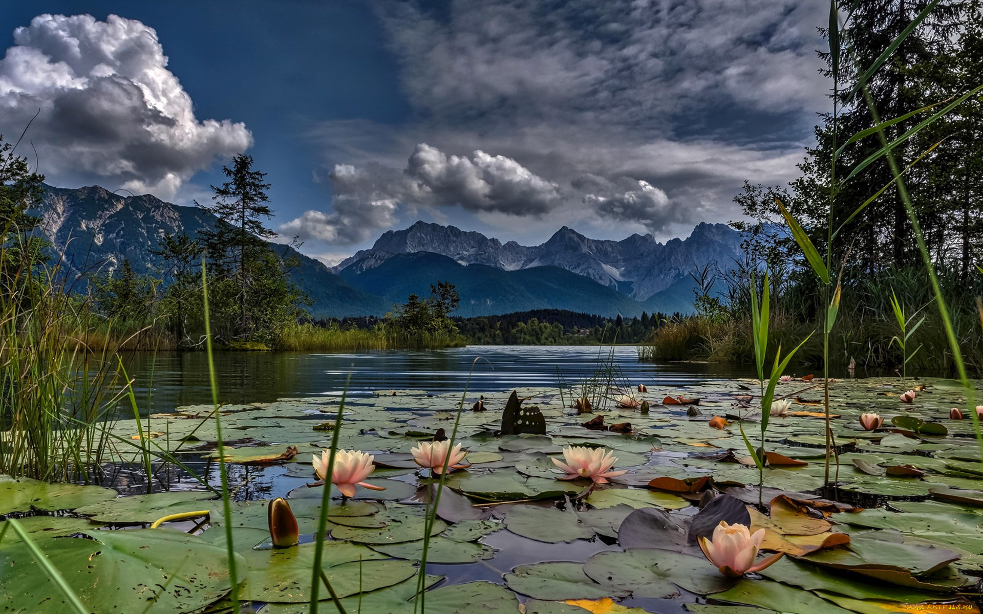 природа, реки, озера, простор