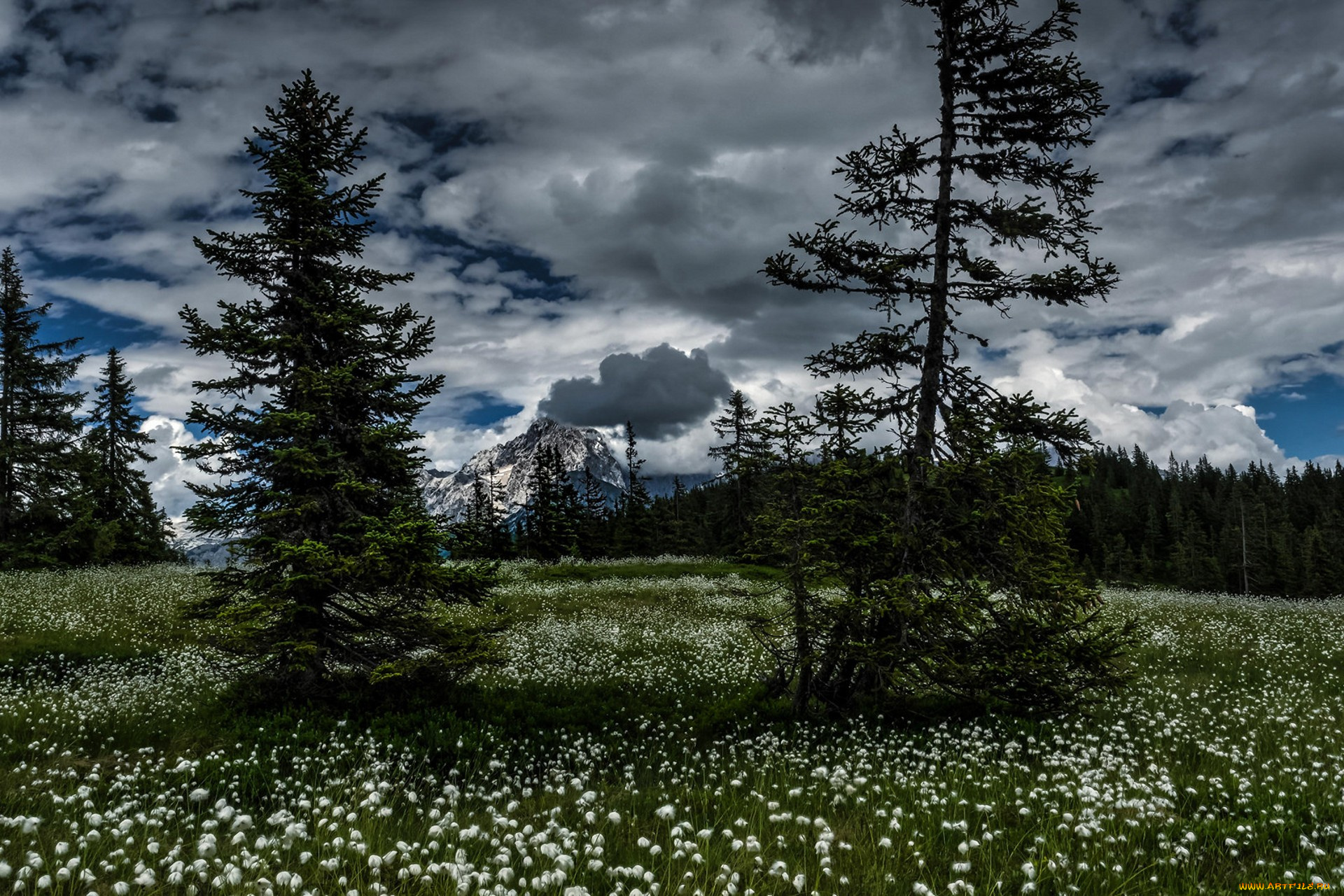 природа, пейзажи, простор