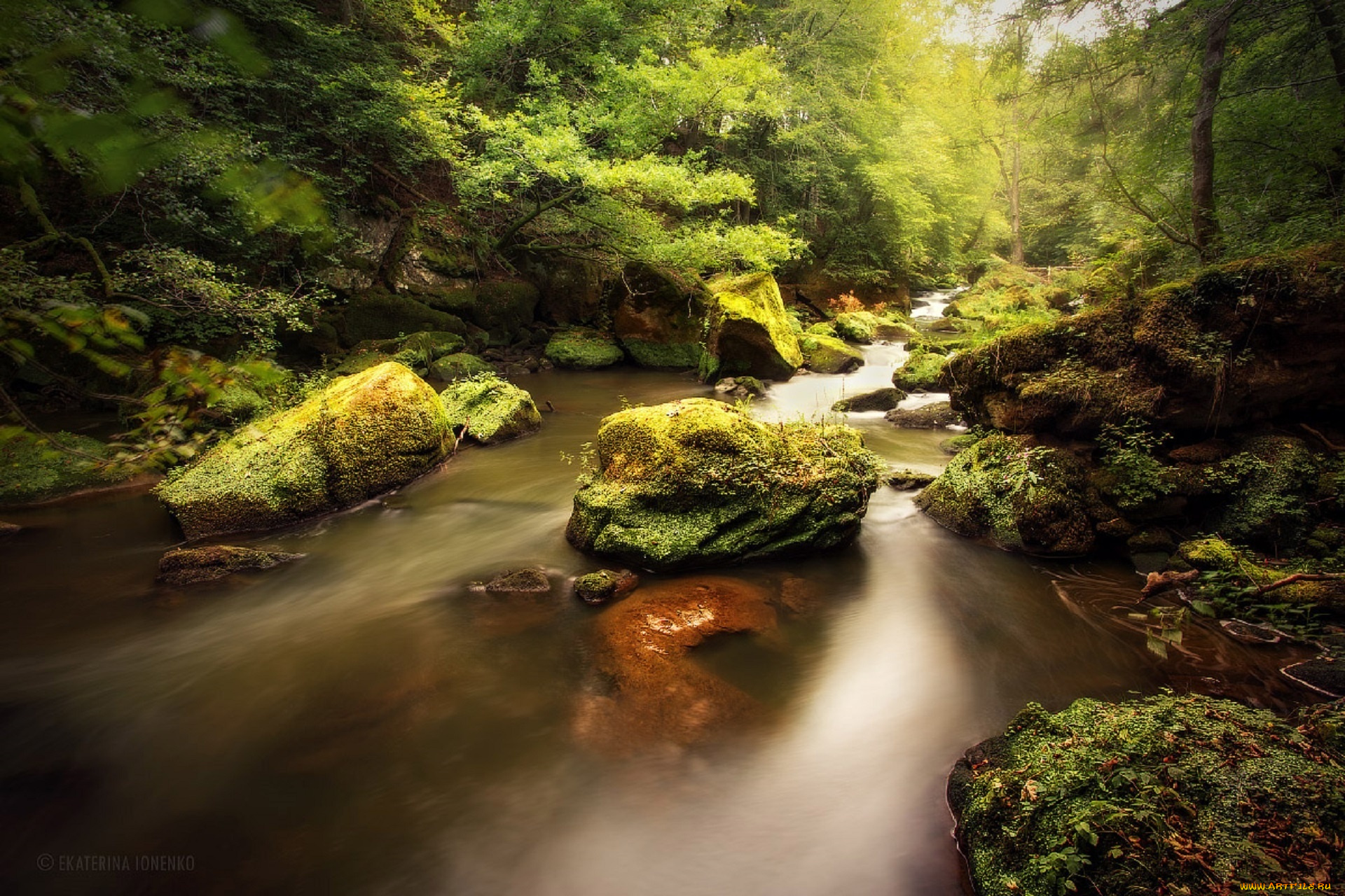 природа, реки, озера, лес, река, камни, мох, начало, осени, екатерина, ионенко