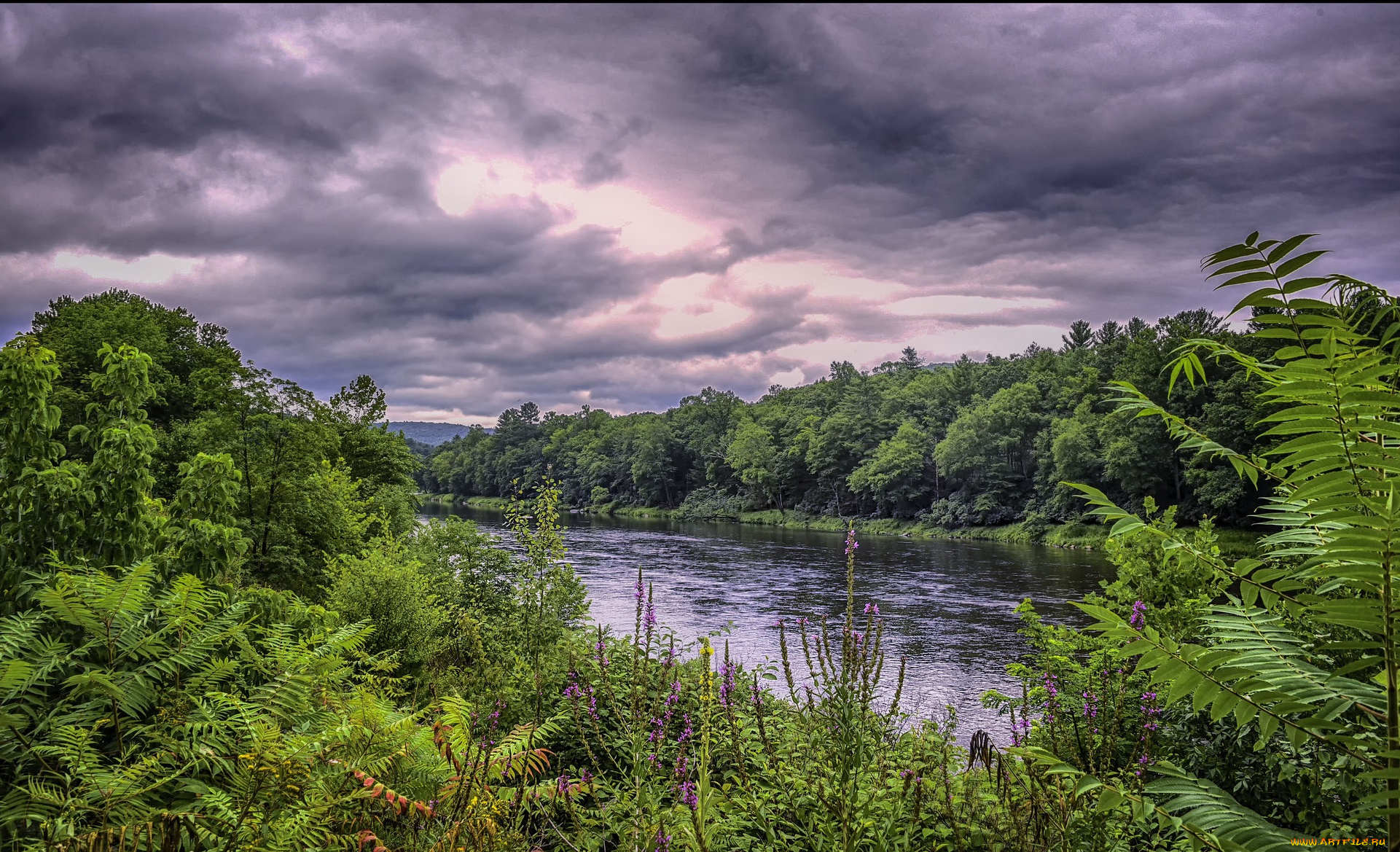 природа, реки, озера, простор