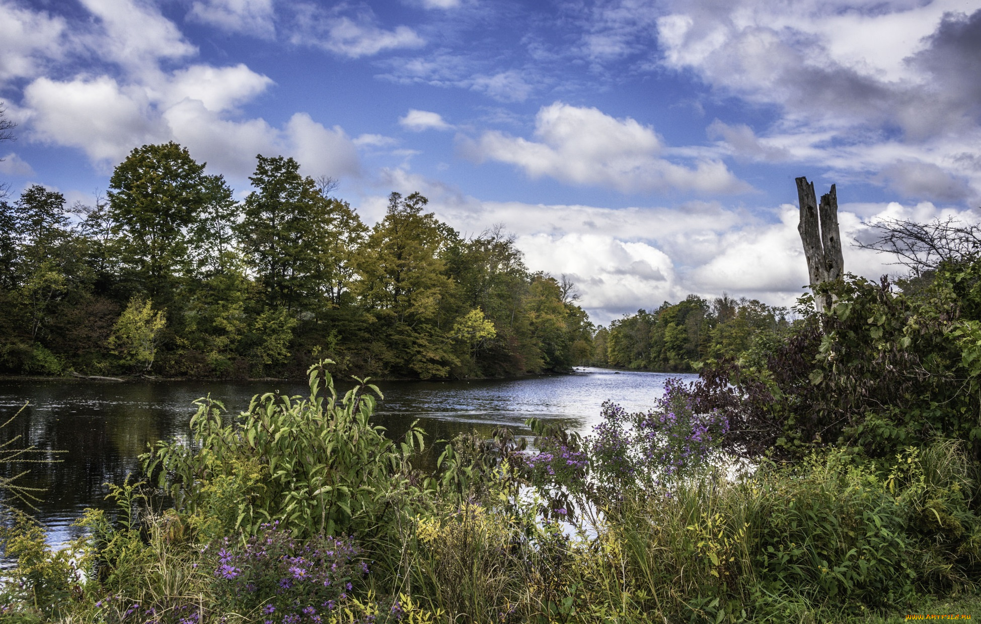 природа, реки, озера, простор