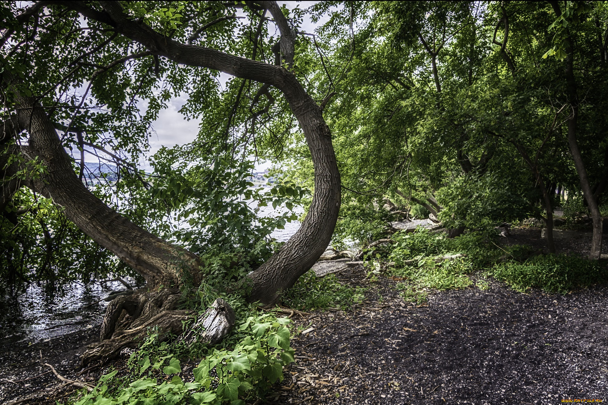 природа, реки, озера, простор