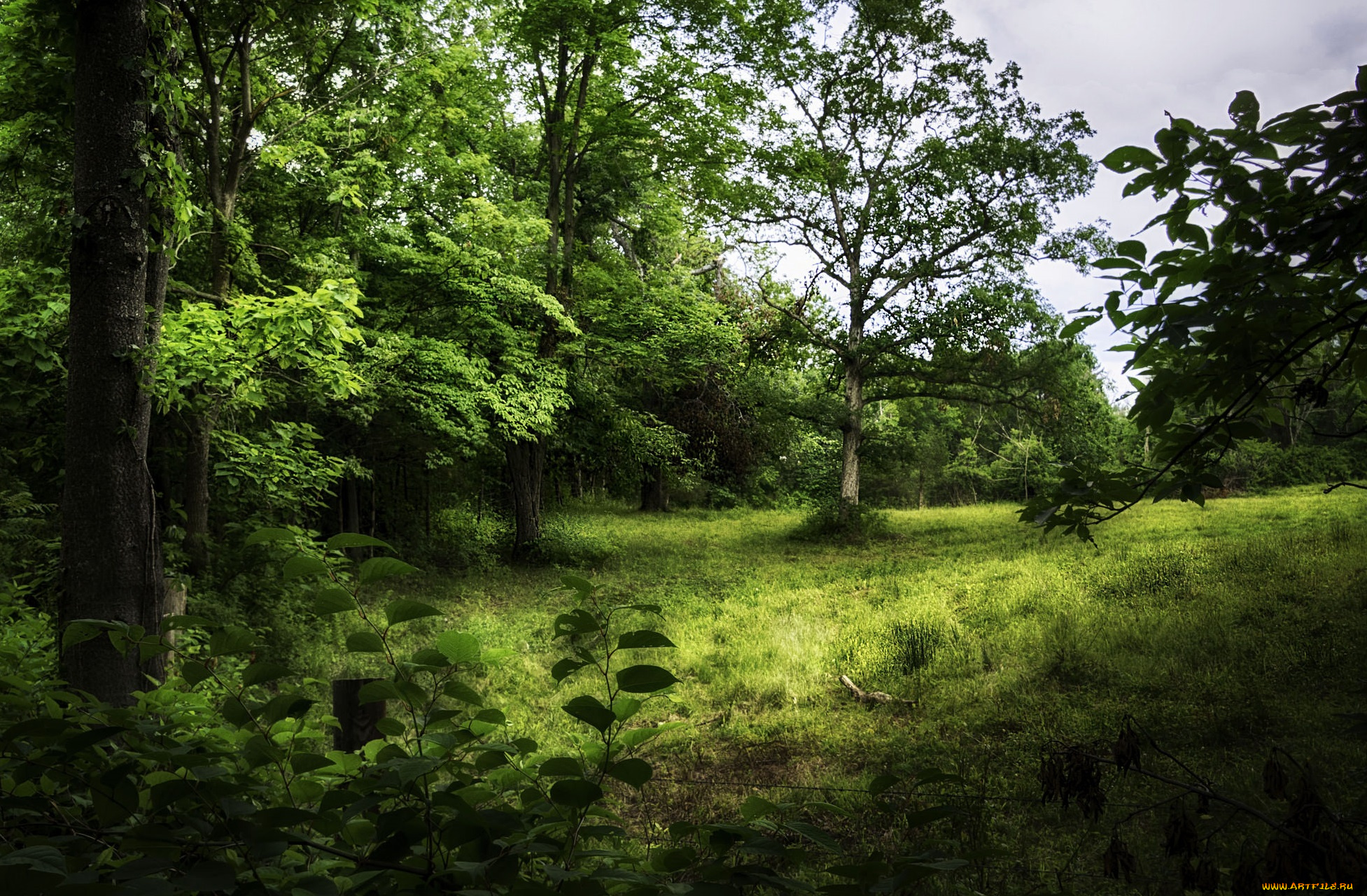 природа, пейзажи, простор