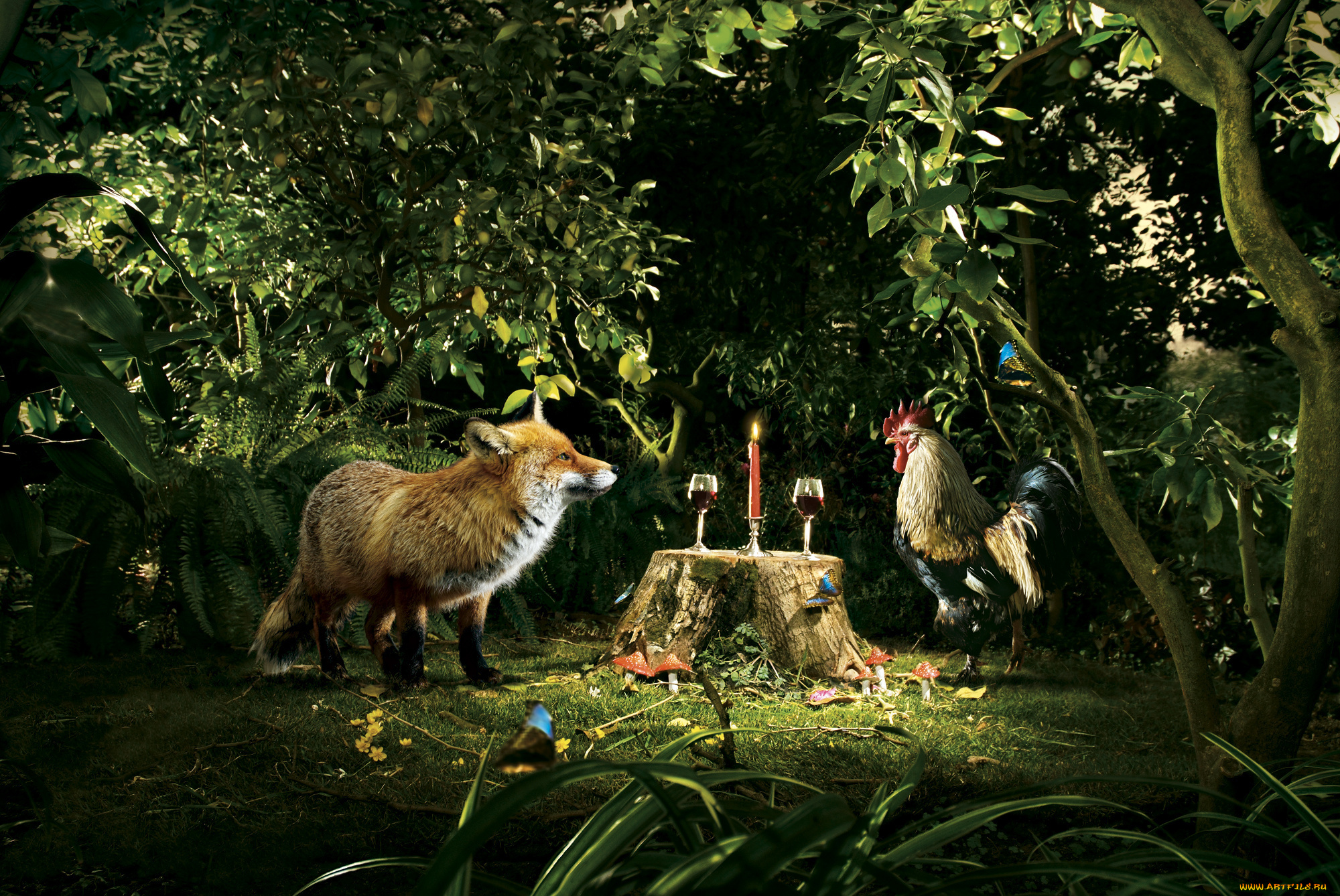 юмор, и, приколы, лес, петух, лиса