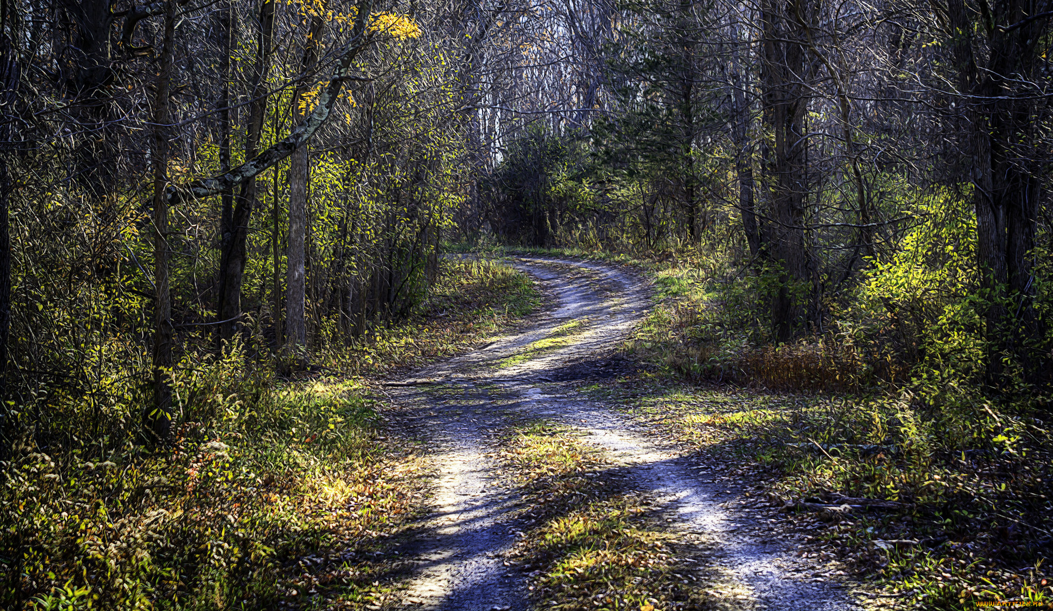 природа, дороги, простор