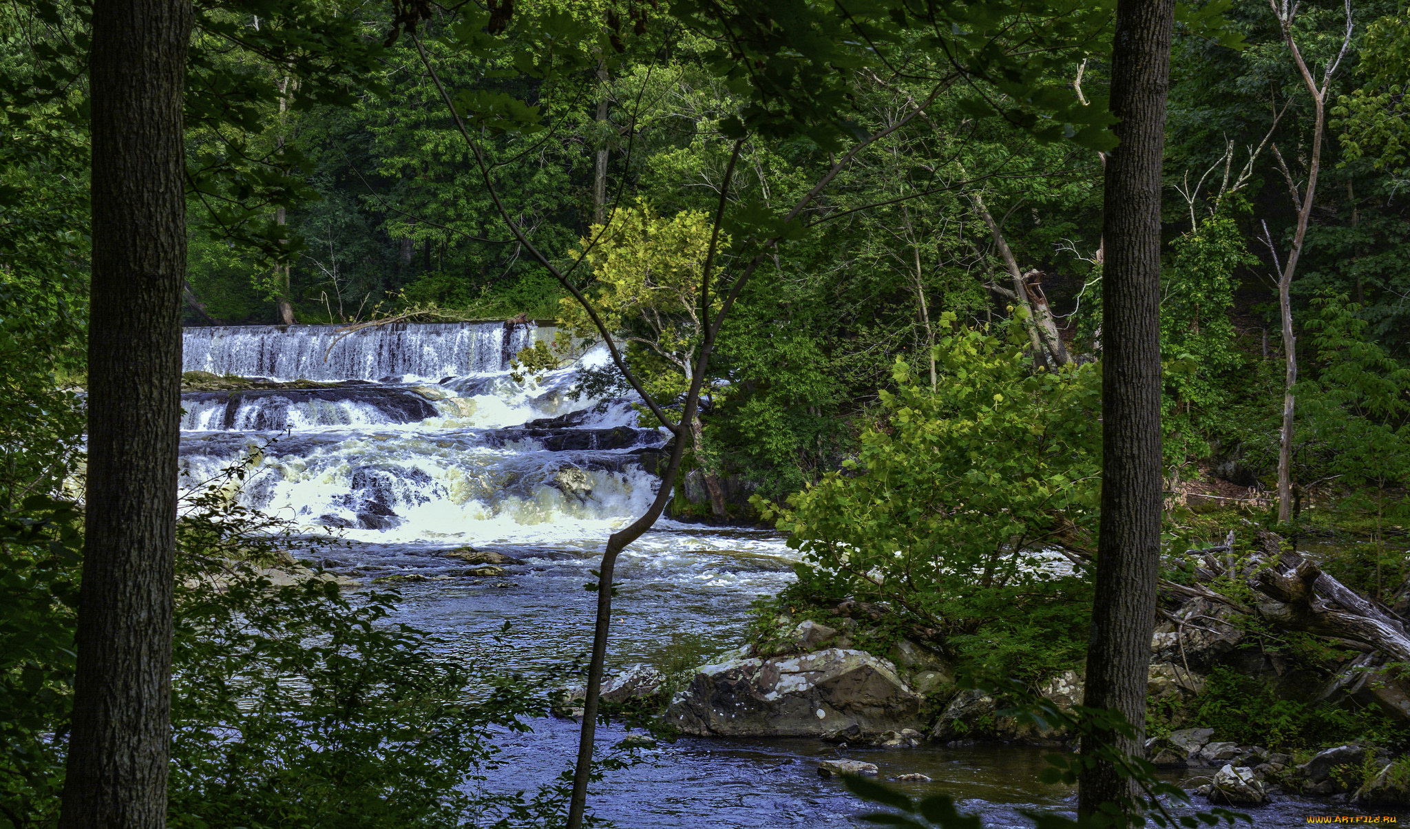 природа, реки, озера, простор