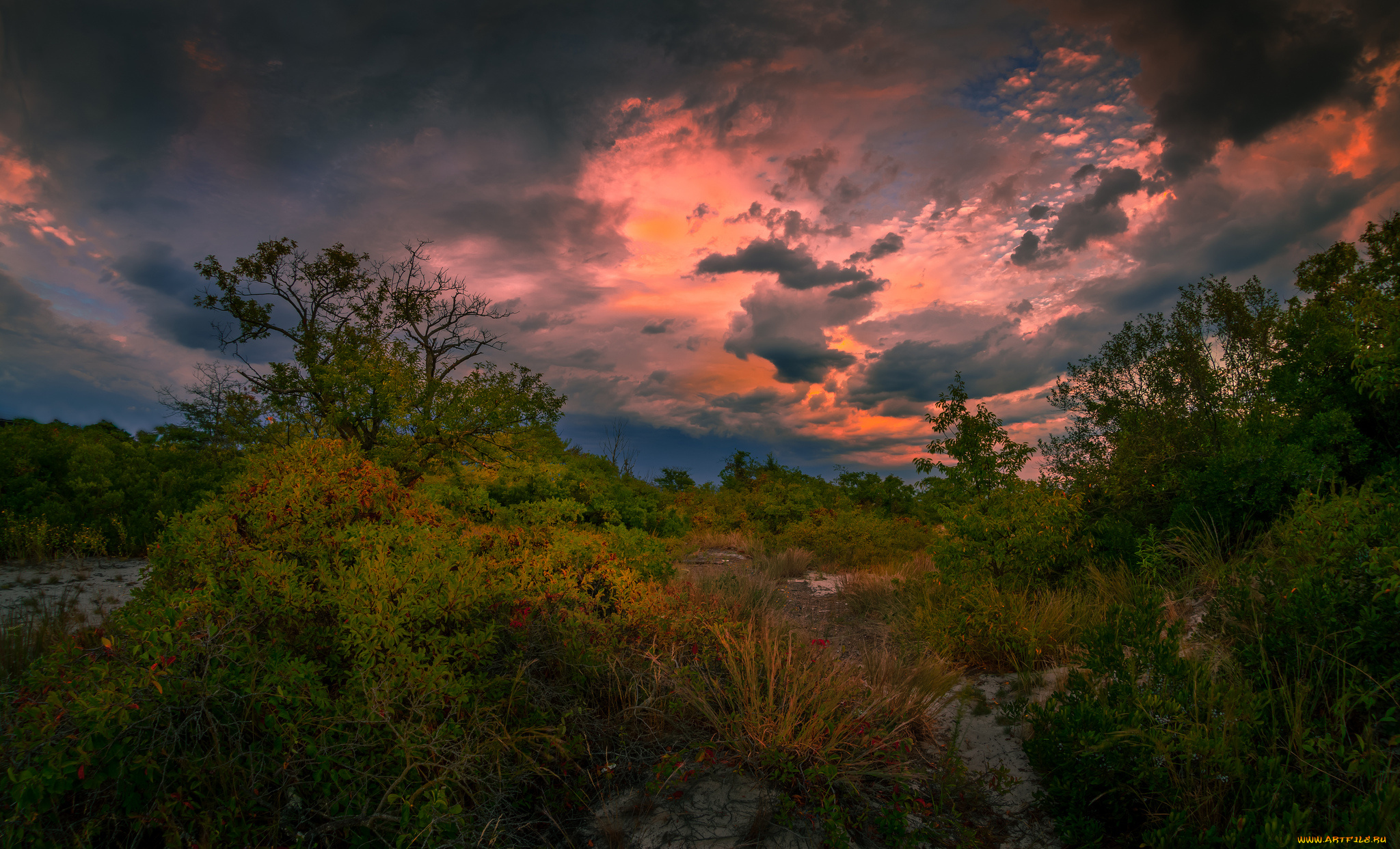 природа, пейзажи, простор