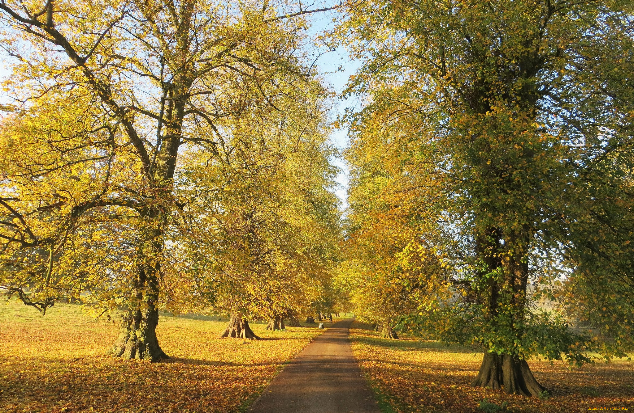 природа, дороги, простор