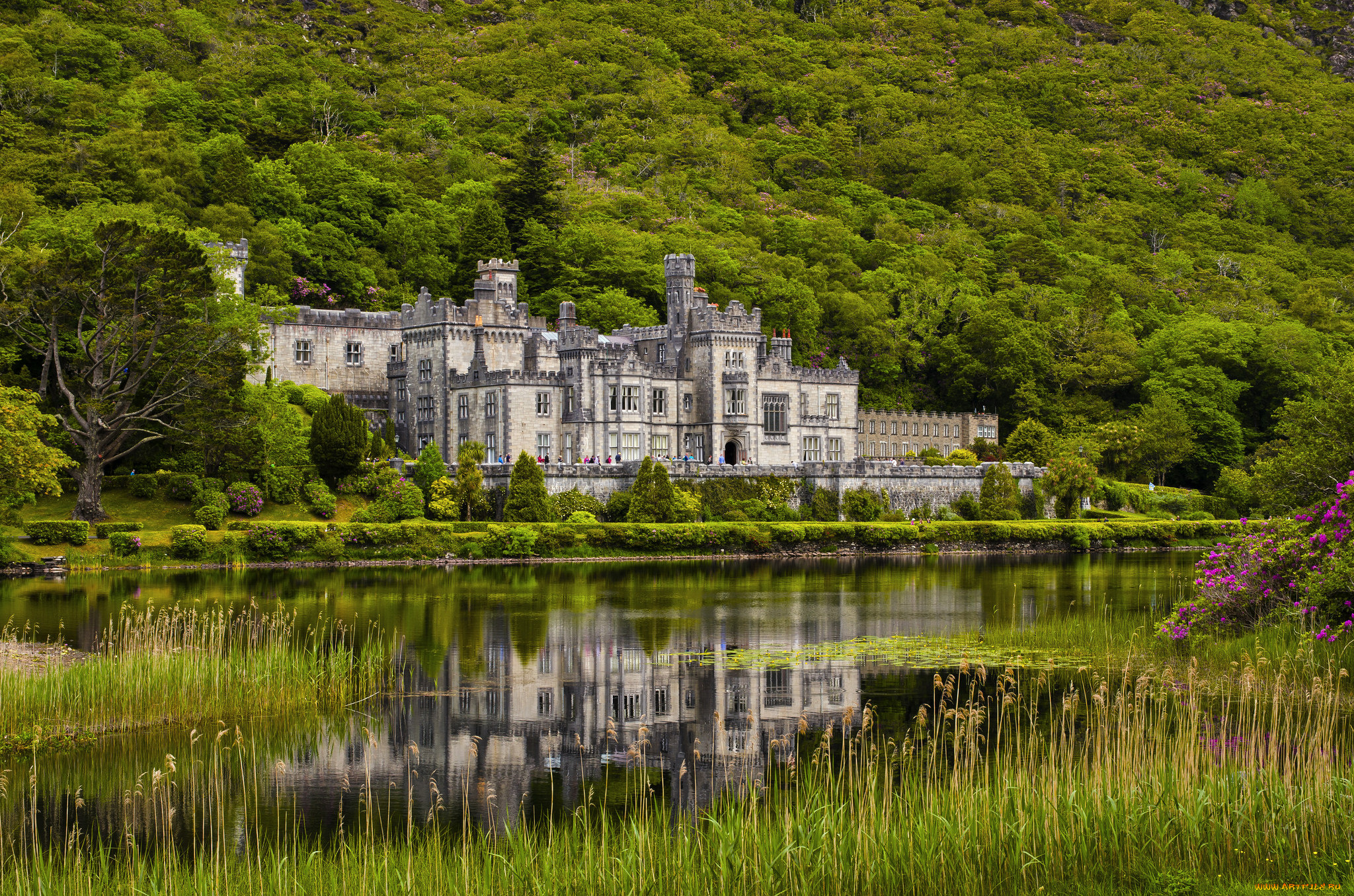 kylemore, abbey, города, -, католические, соборы, , костелы, , аббатства, река, лес