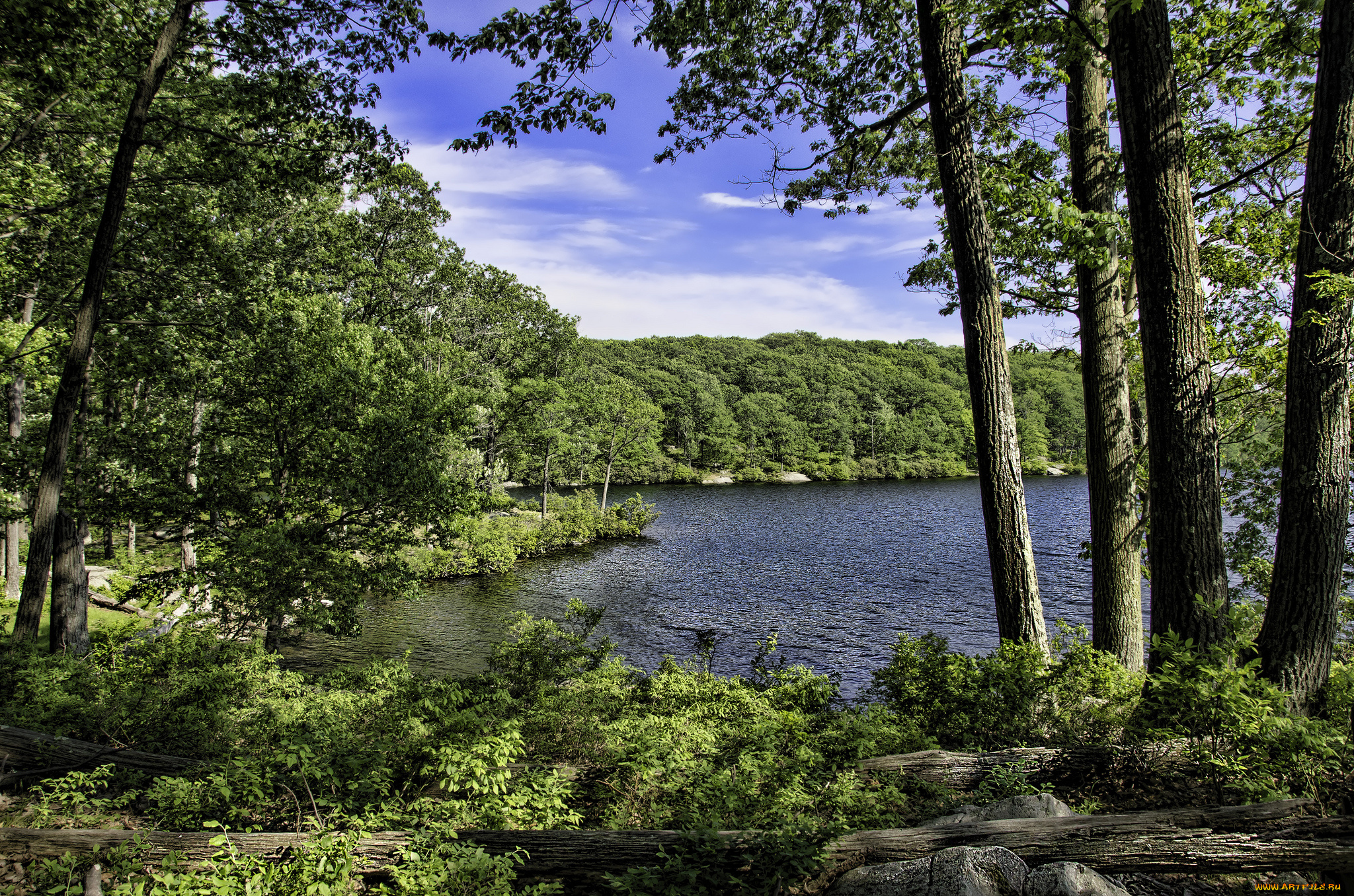 природа, реки, озера, простор