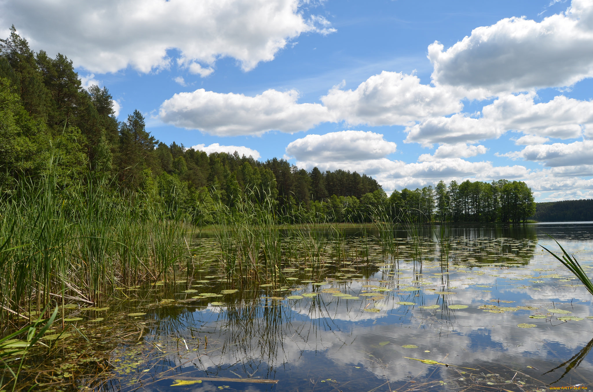 природа, реки, озера, простор