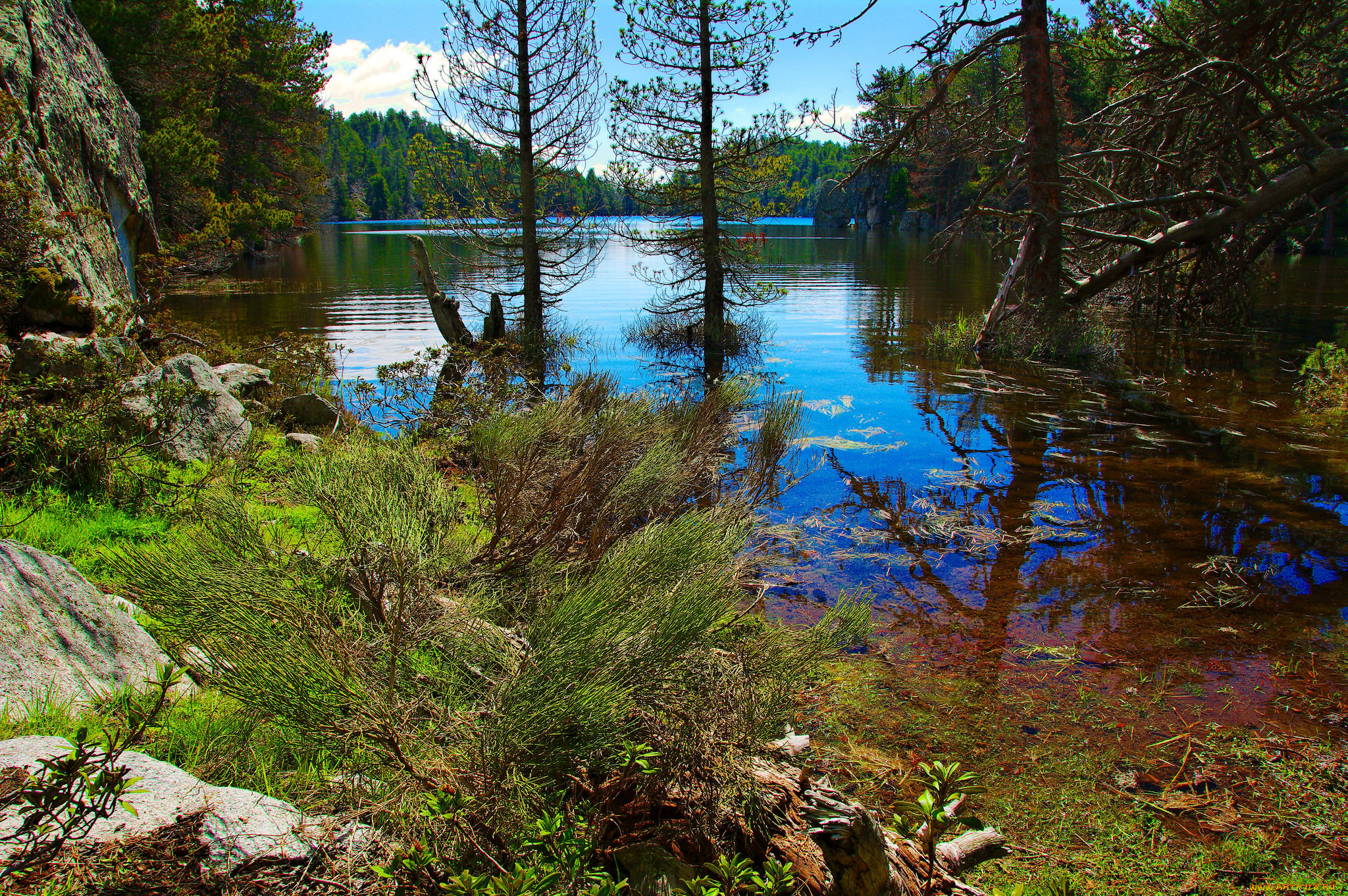 природа, реки, озера, простор