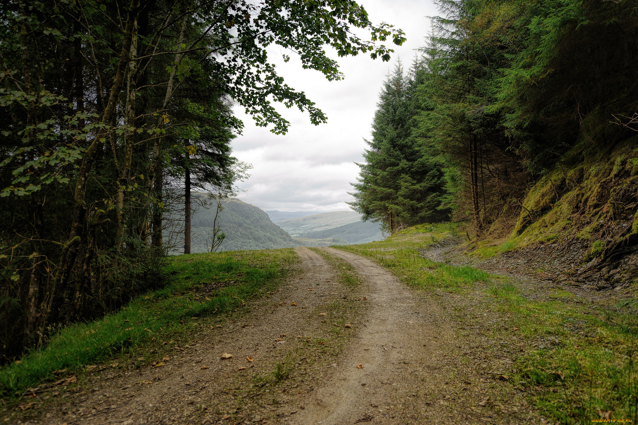 природа, дороги, простор