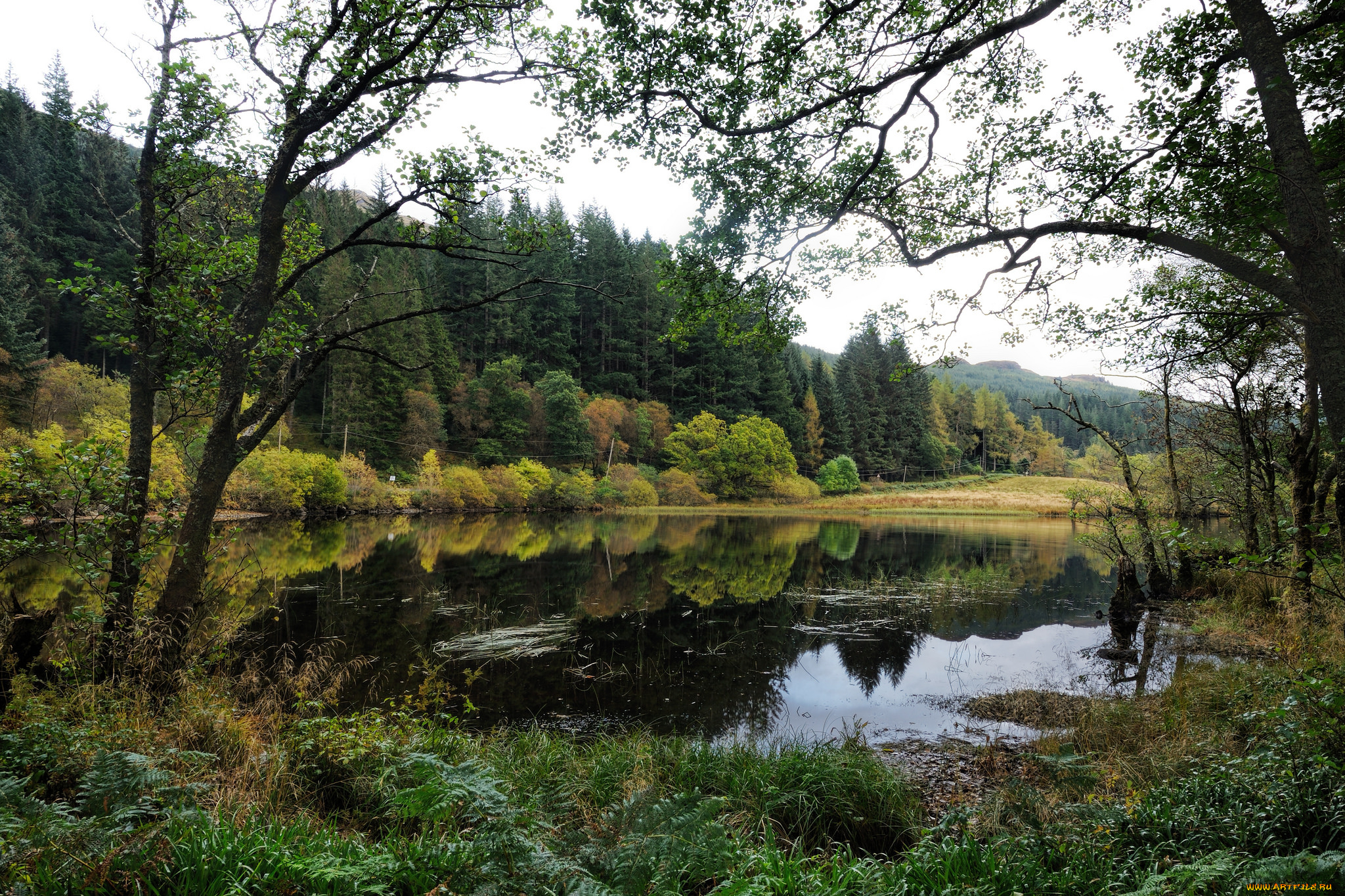 природа, реки, озера, простор