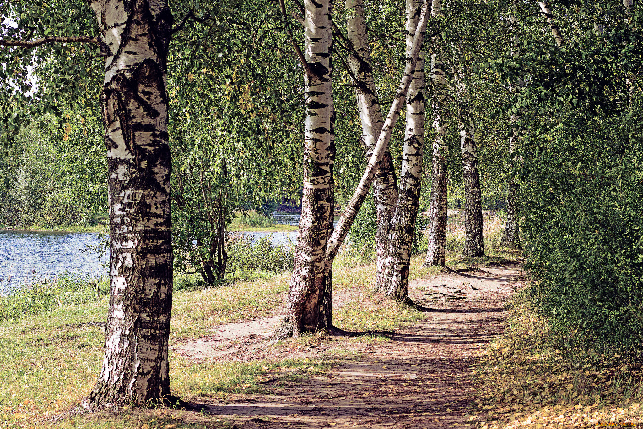 природа, дороги, простор