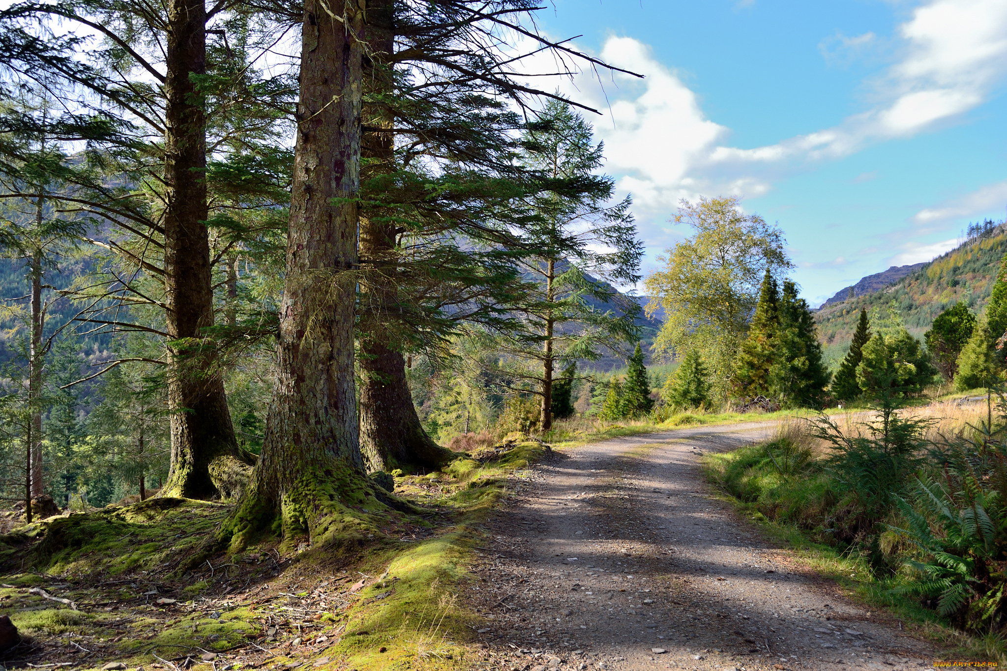 природа, дороги, простор