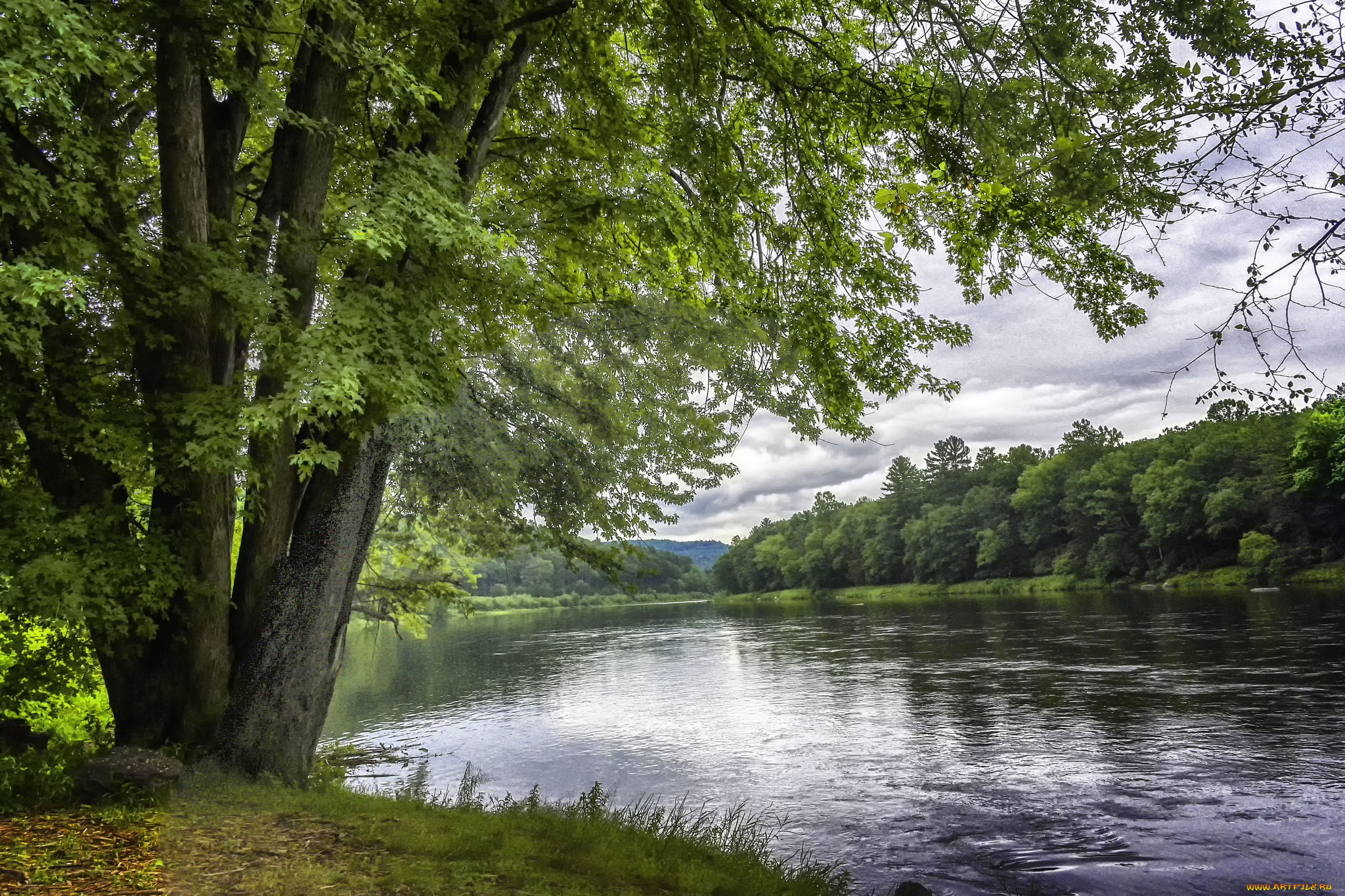 природа, реки, озера, простор