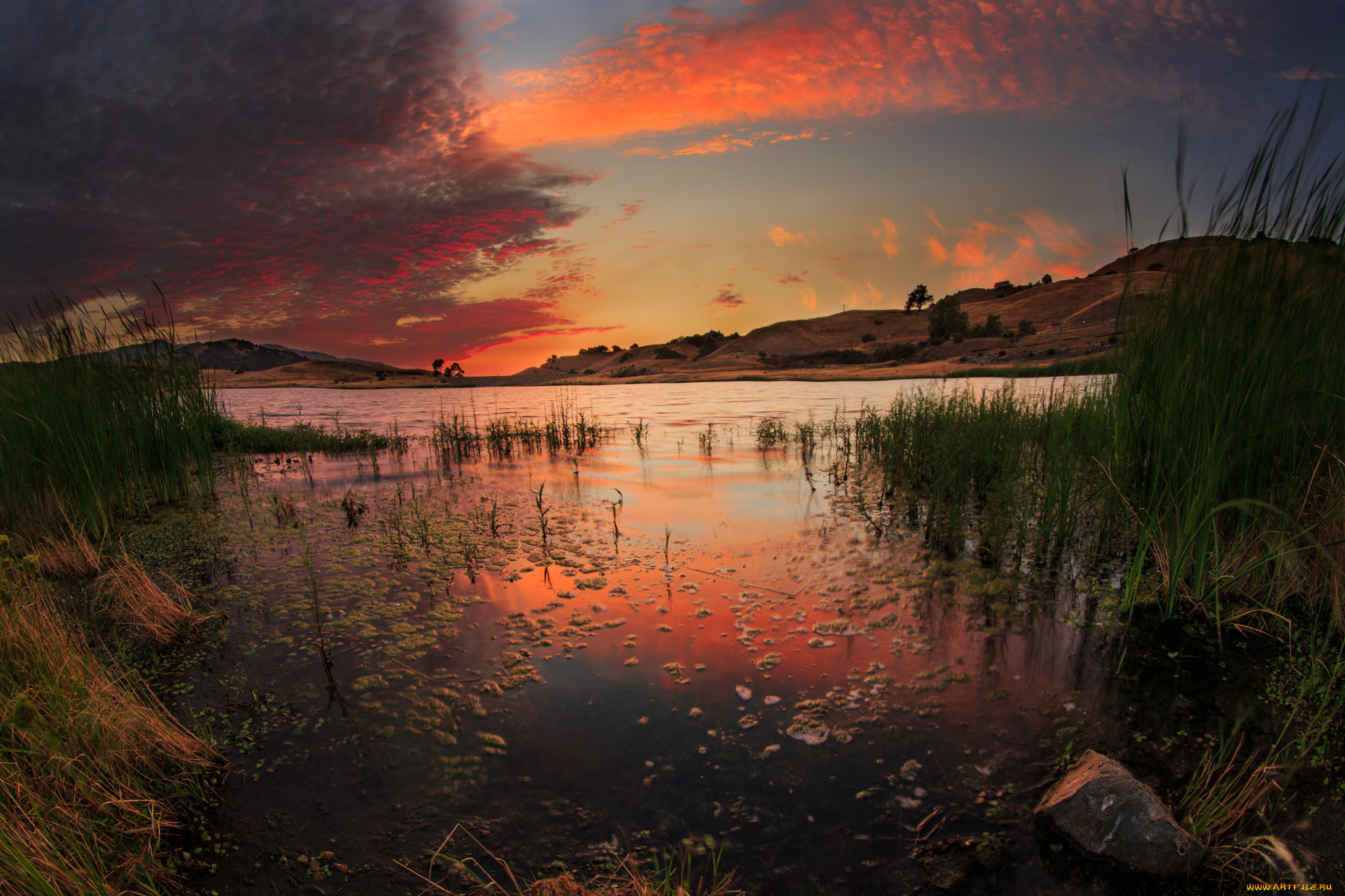 природа, реки, озера, простор