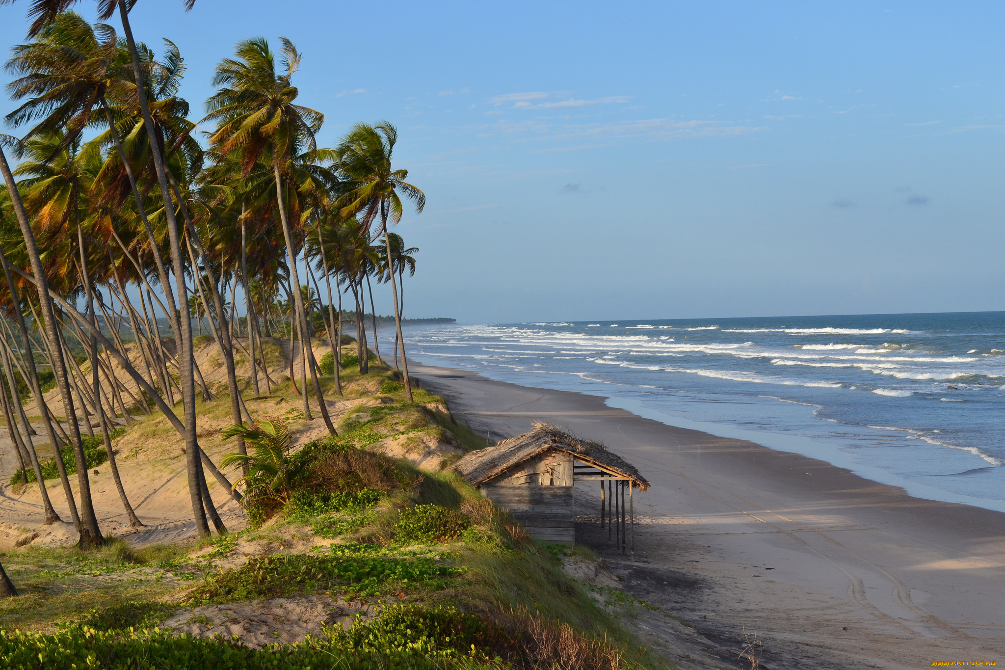 природа, тропики, простор