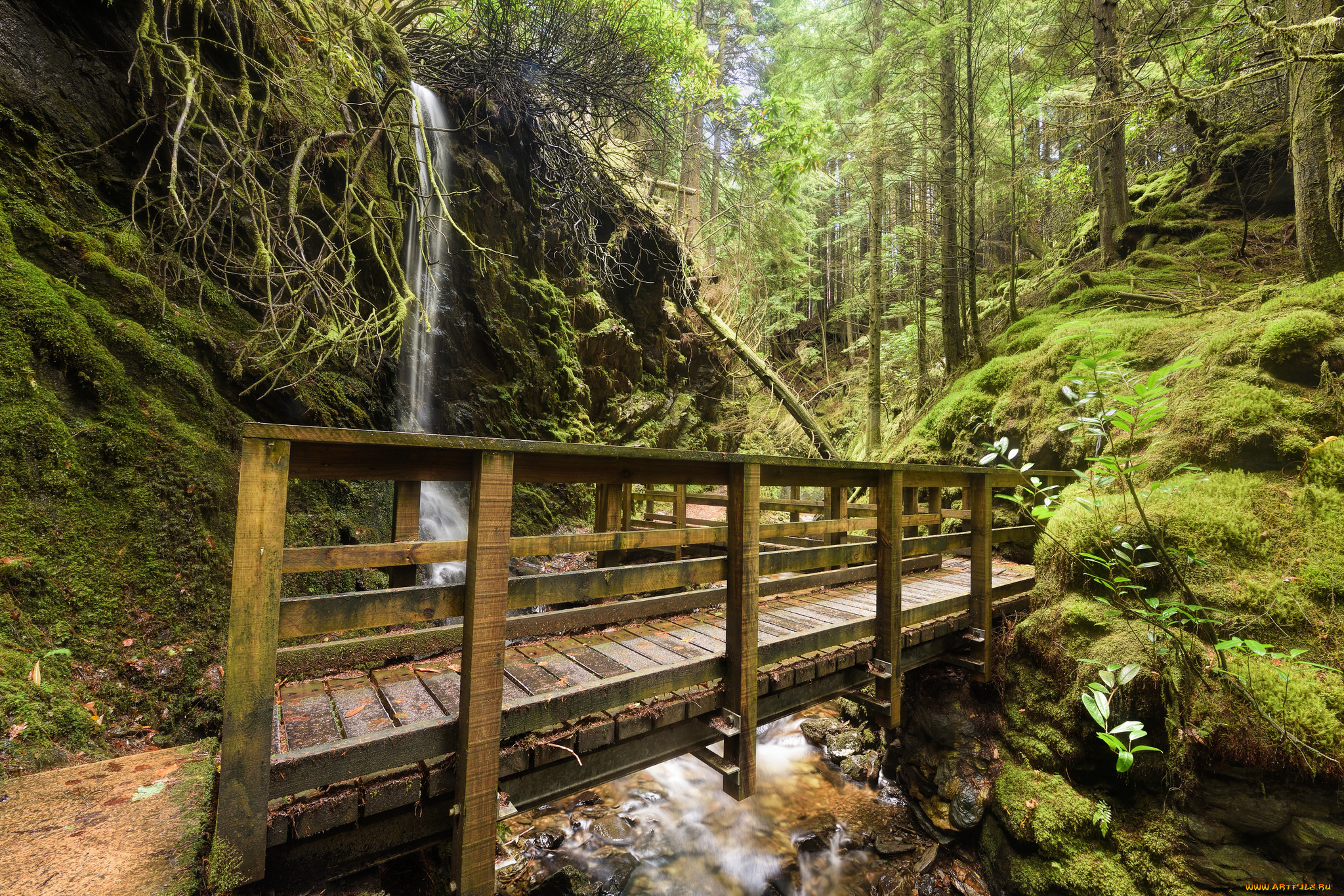 природа, дороги, простор