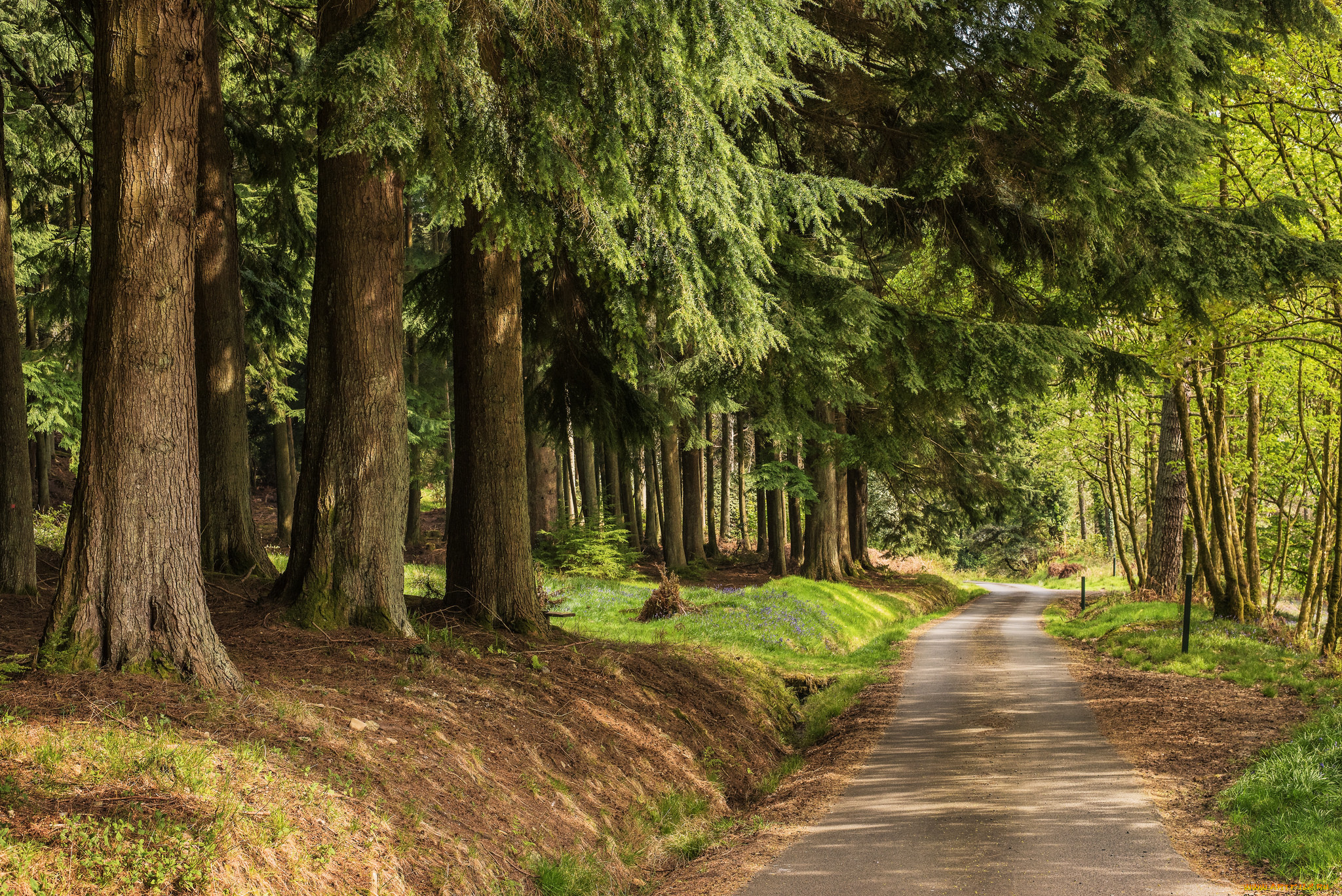 природа, дороги, простор