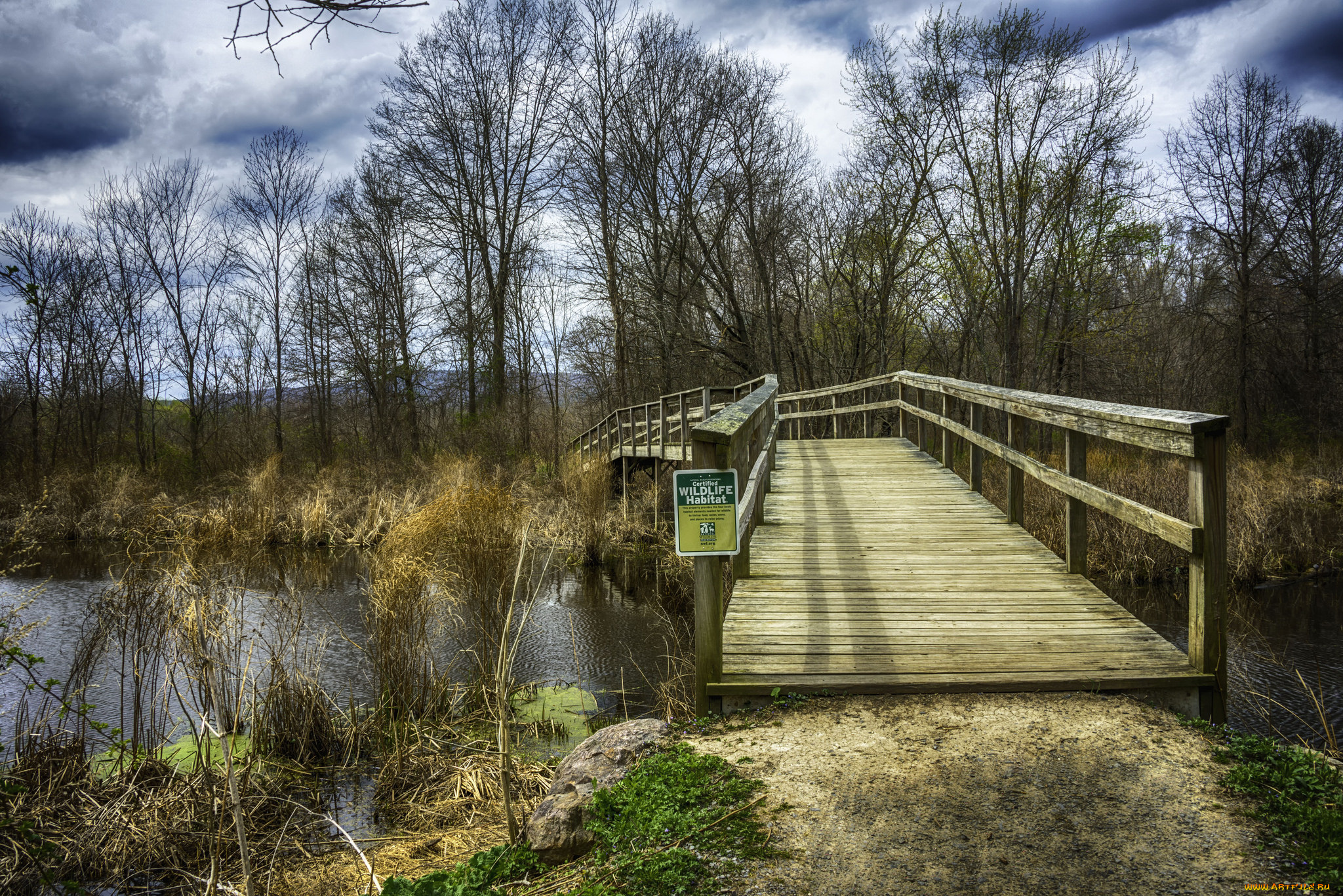 природа, дороги, простор