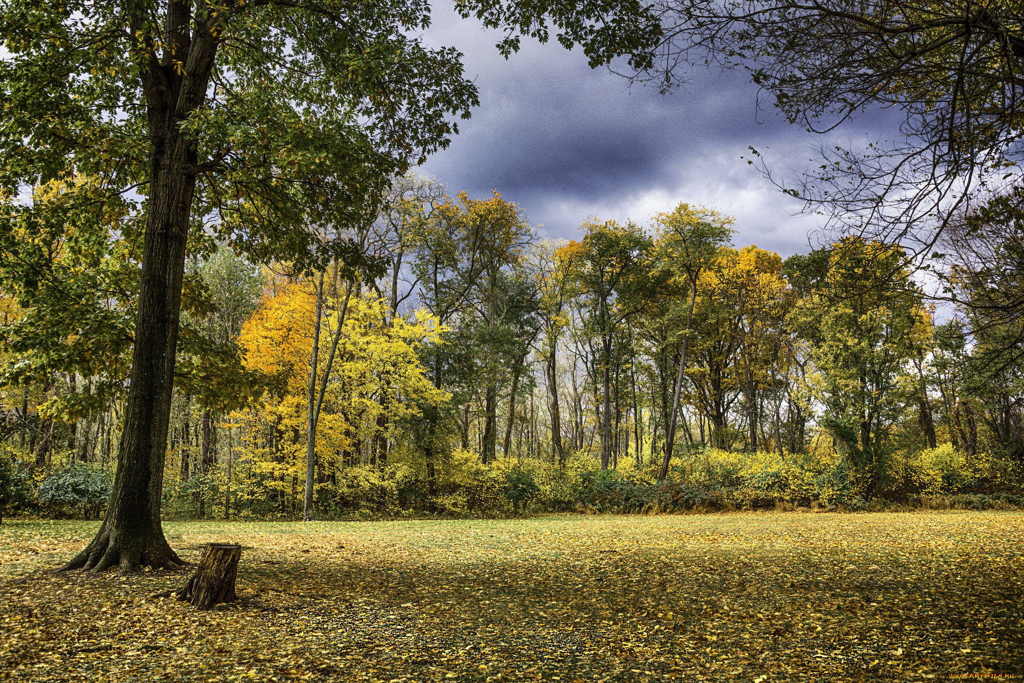 природа, пейзажи, простор
