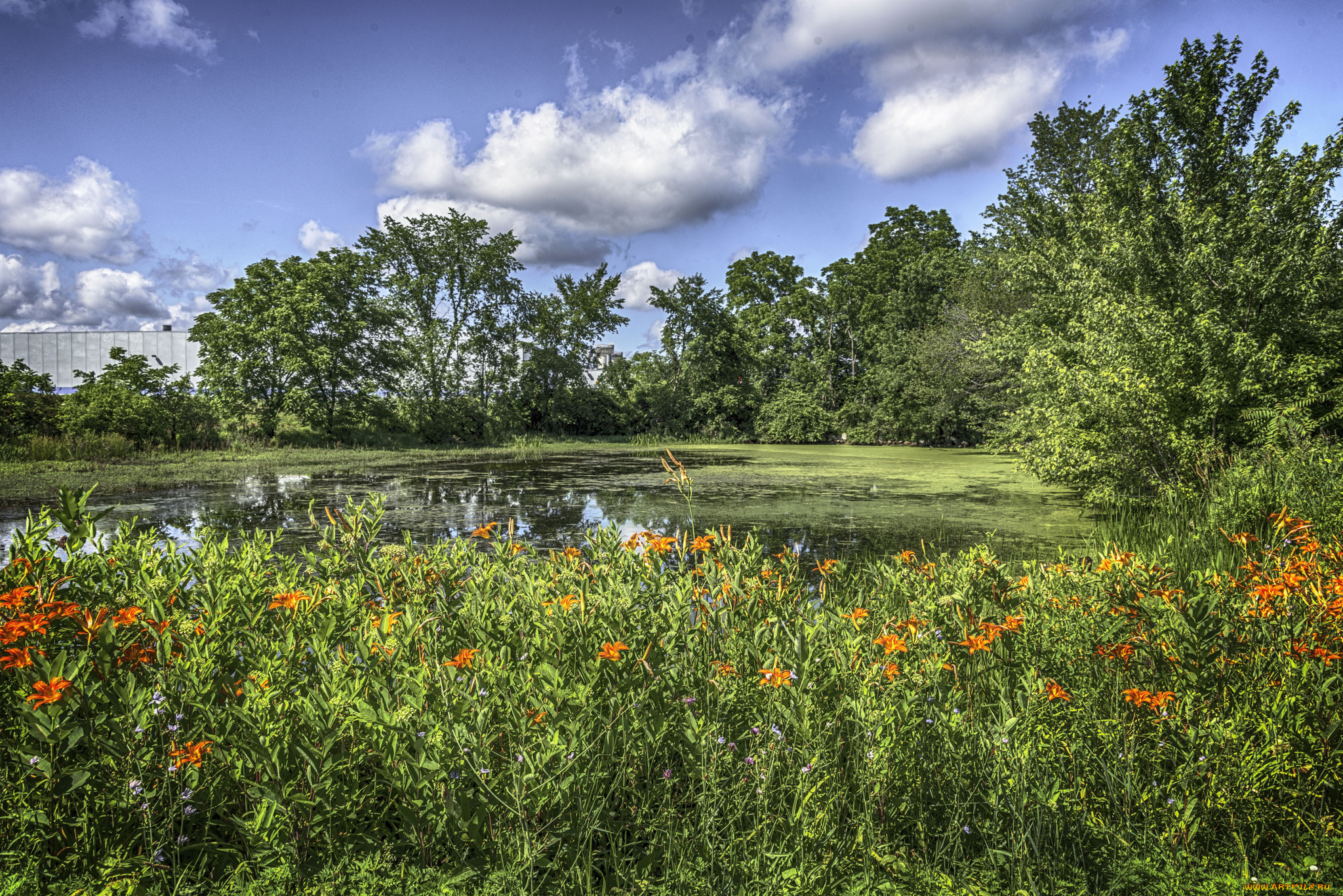 природа, реки, озера, простор