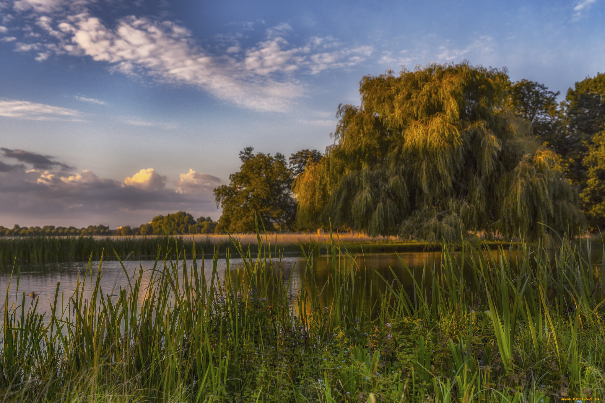 природа, реки, озера, простор