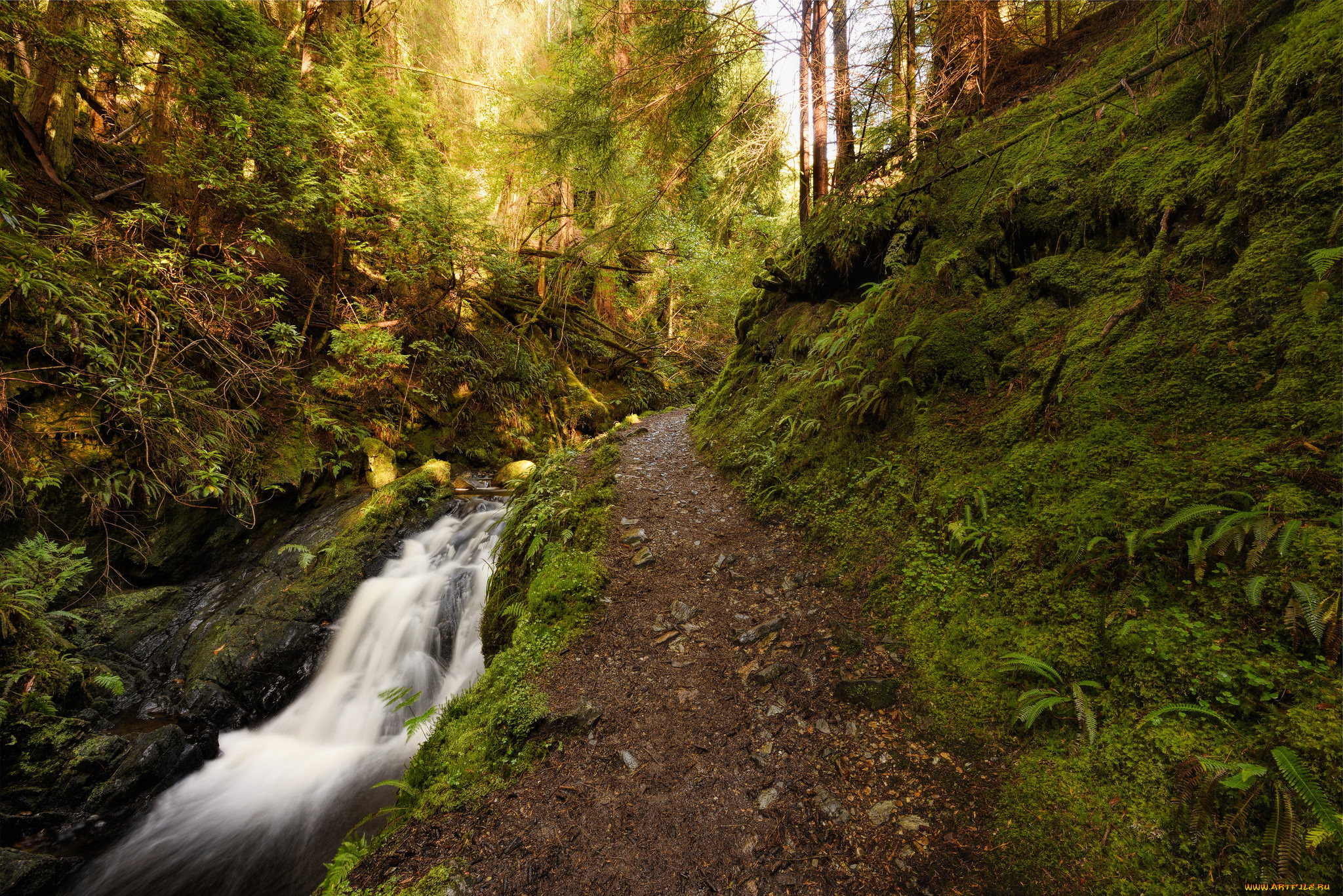 природа, водопады, простор