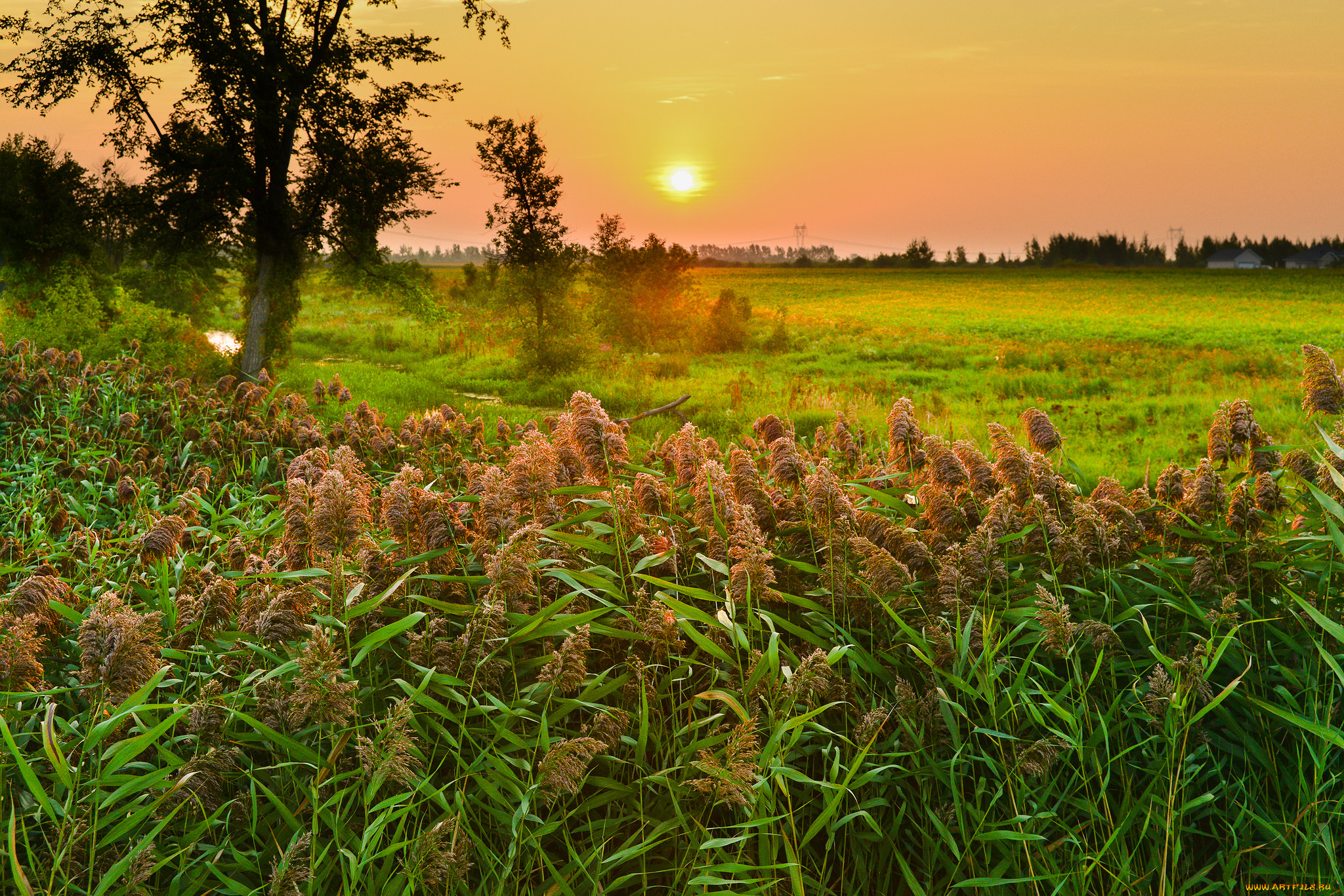 природа, восходы, закаты, простор