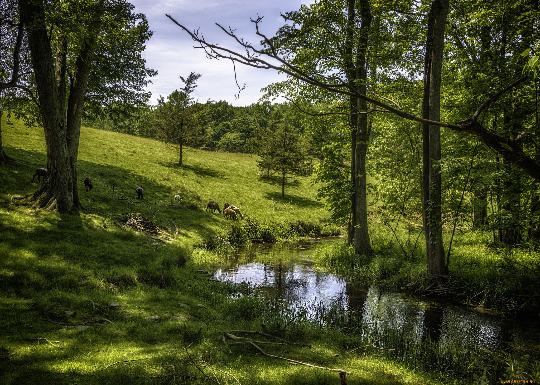 природа, реки, озера, простор