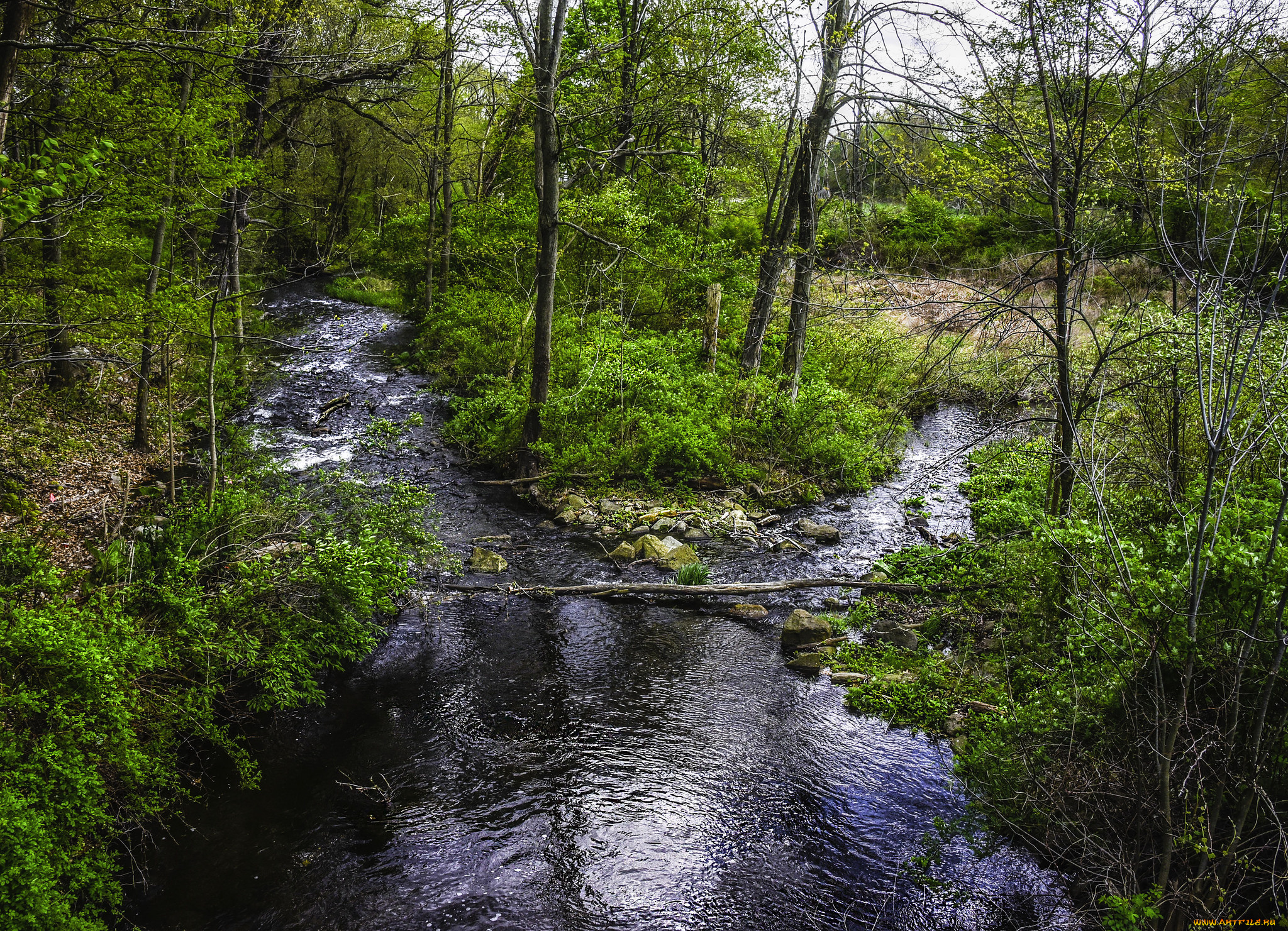 природа, реки, озера, простор