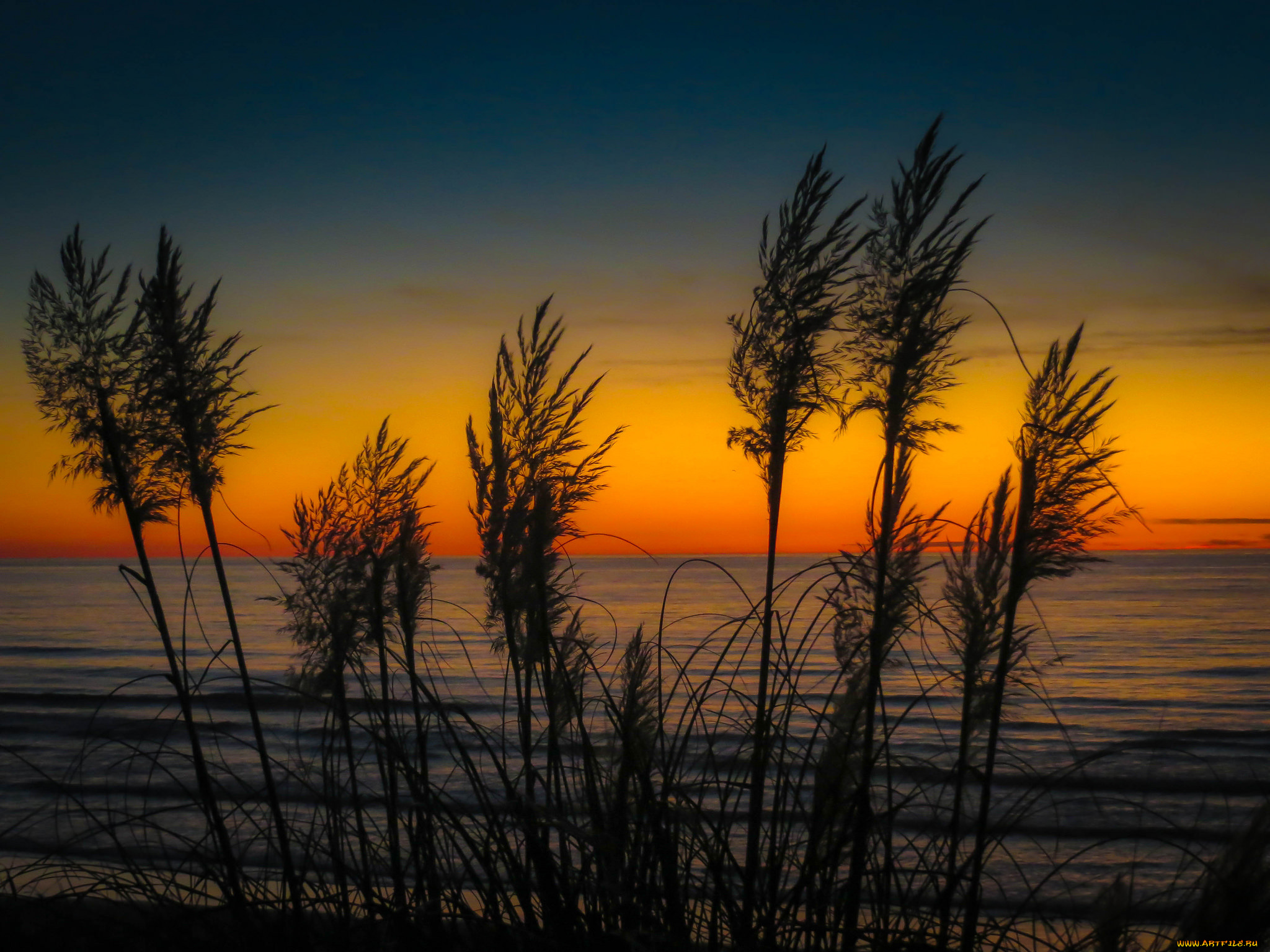 природа, восходы, закаты, простор