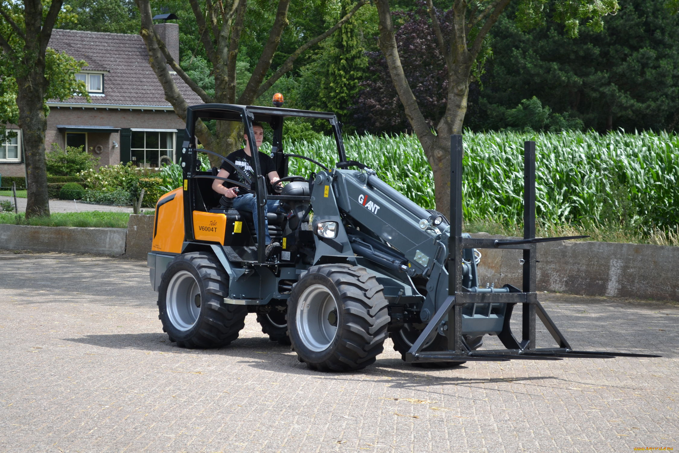 техника, фронтальные, погрузчики, giant