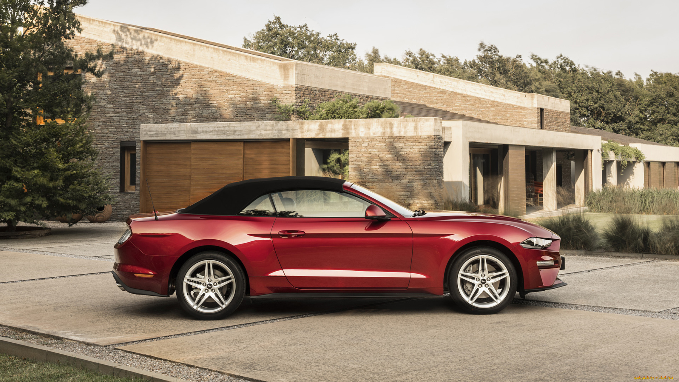 ford, mustang, cabrio, 2018, автомобили, ford, 2018, cabrio, mustang