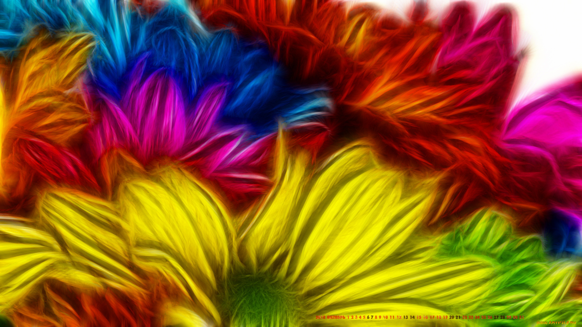 календари, компьютерный, дизайн, цветы