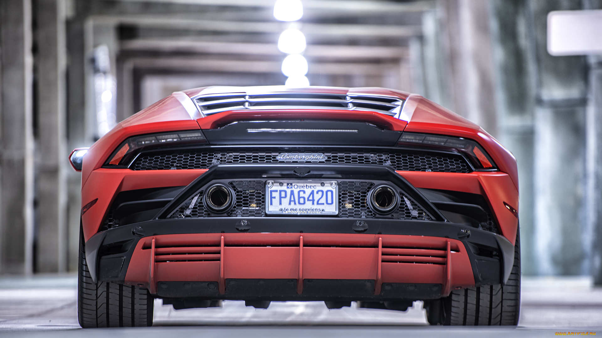 автомобили, lamborghini