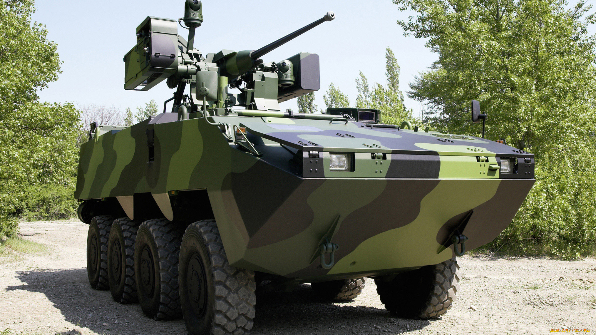 техника, военная, техника, pandur