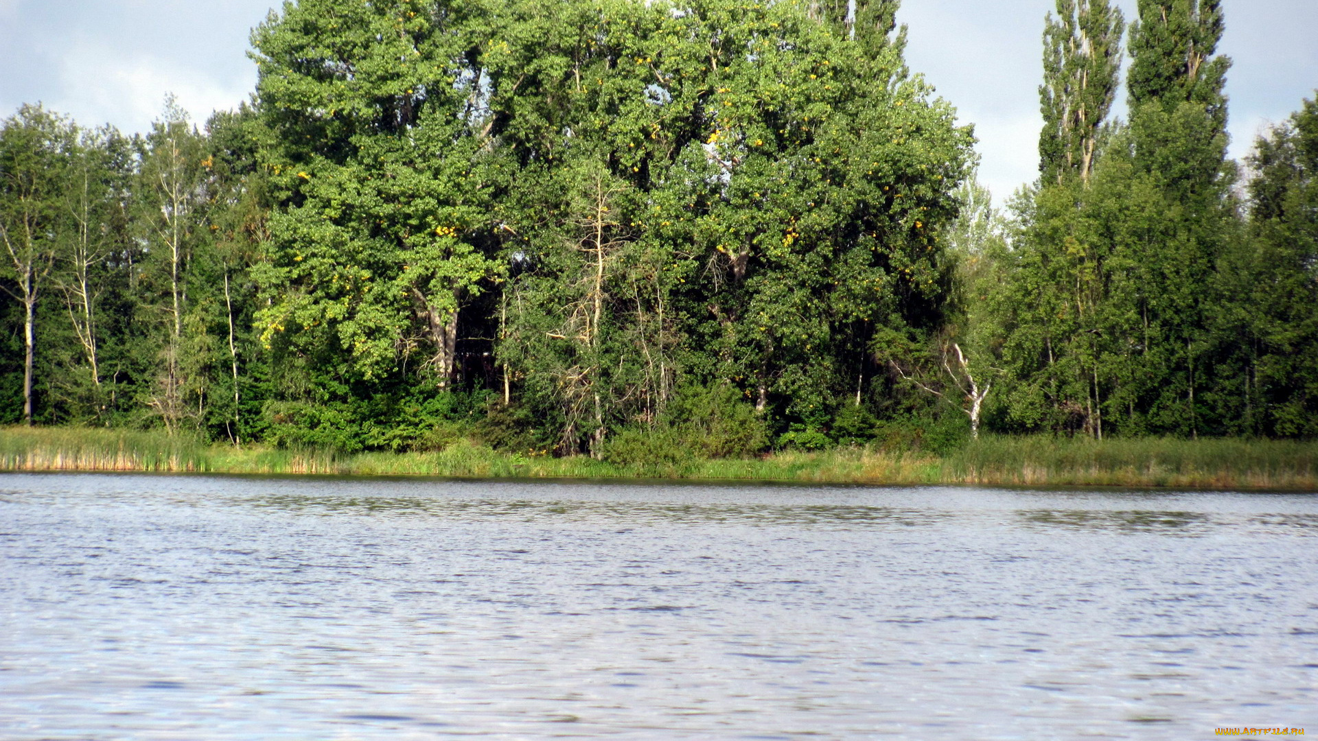 природа, реки, озера, река