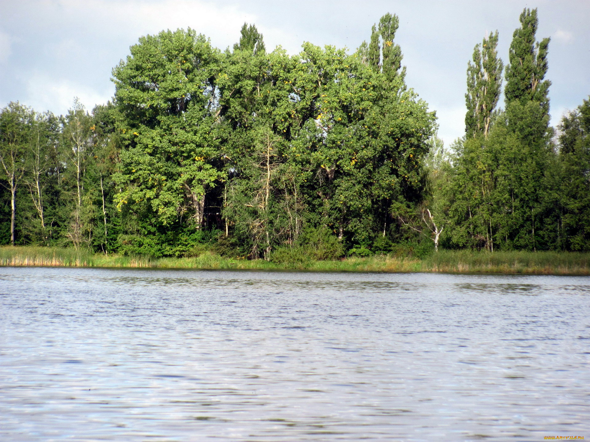 природа, реки, озера, река