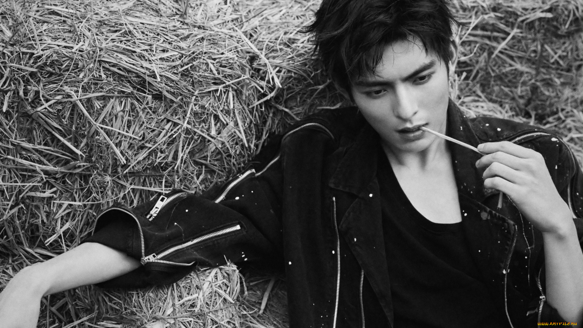 мужчины, wang, hao, xuan, ван, хаосюань, wang, hao, xuan