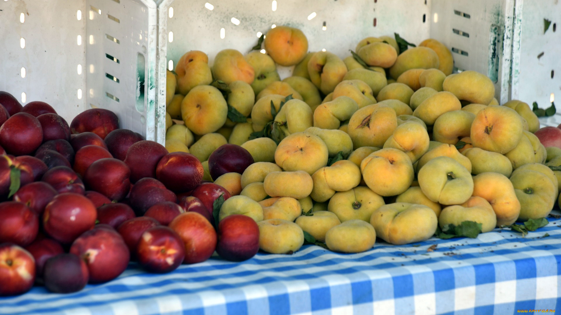 еда, персики, , сливы, , абрикосы, сливы