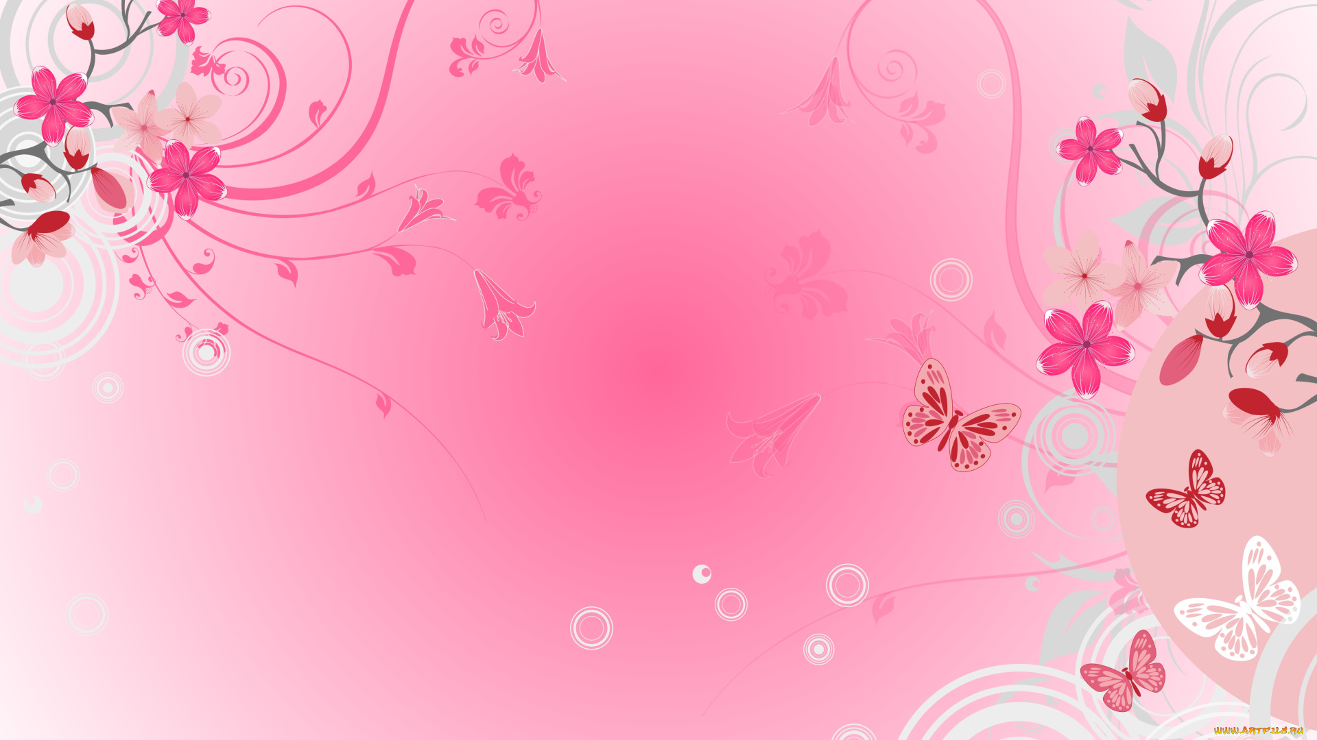 векторная, графика, цветы, , flowers, цветы, бабочки