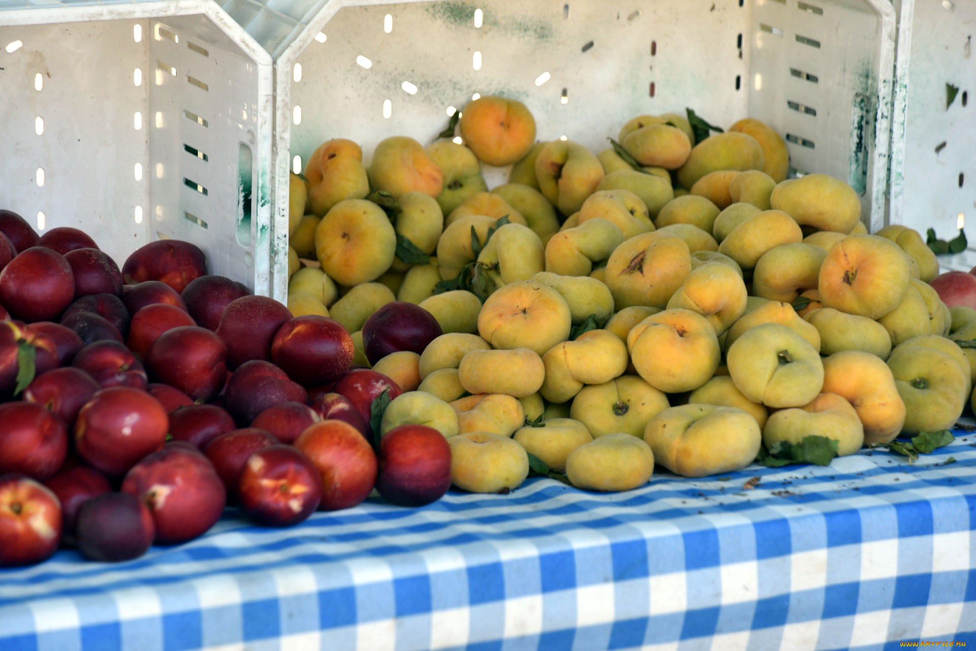 еда, персики, , сливы, , абрикосы, сливы